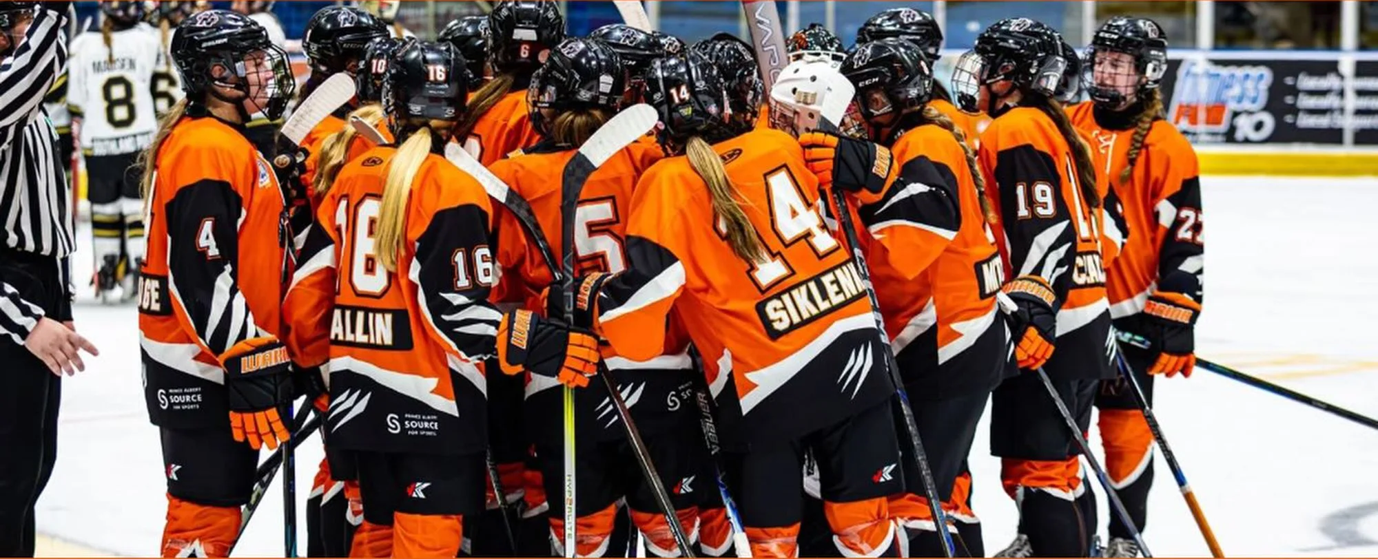 Fresh faces hit the ice and Bears and Mintos spring camps