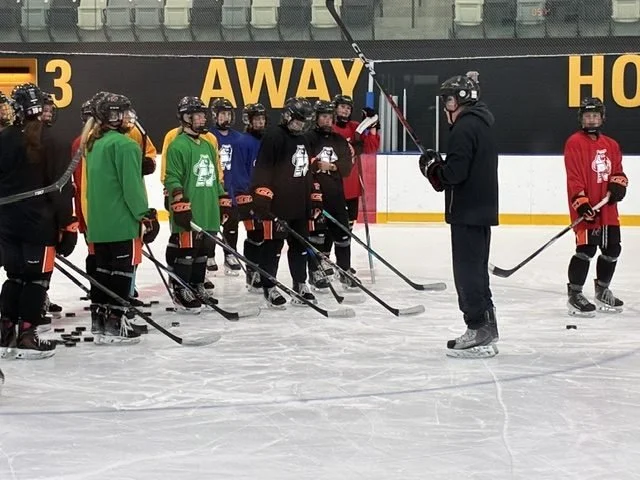 Bears embarking on season of new beginnings