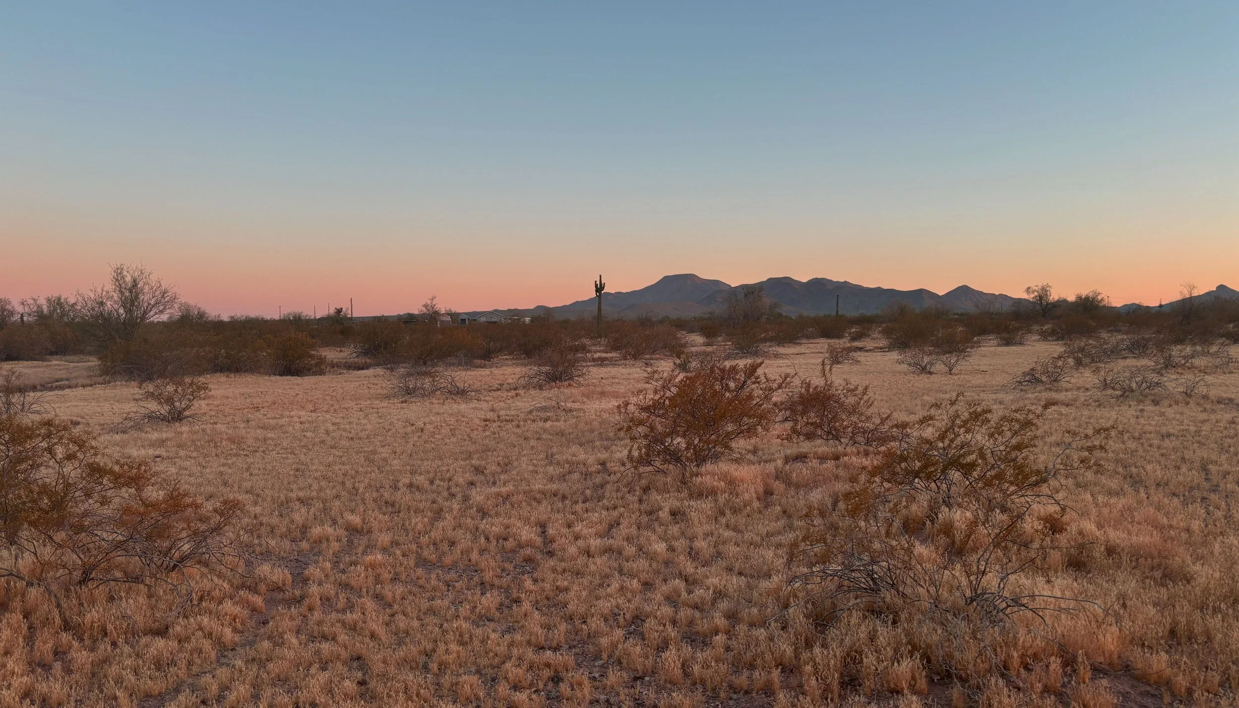 Desert landscape at sunset with dry grass, sparse bushes, a single cactus, mountains in the background, and a colorful sky transitioning from pink to blue.