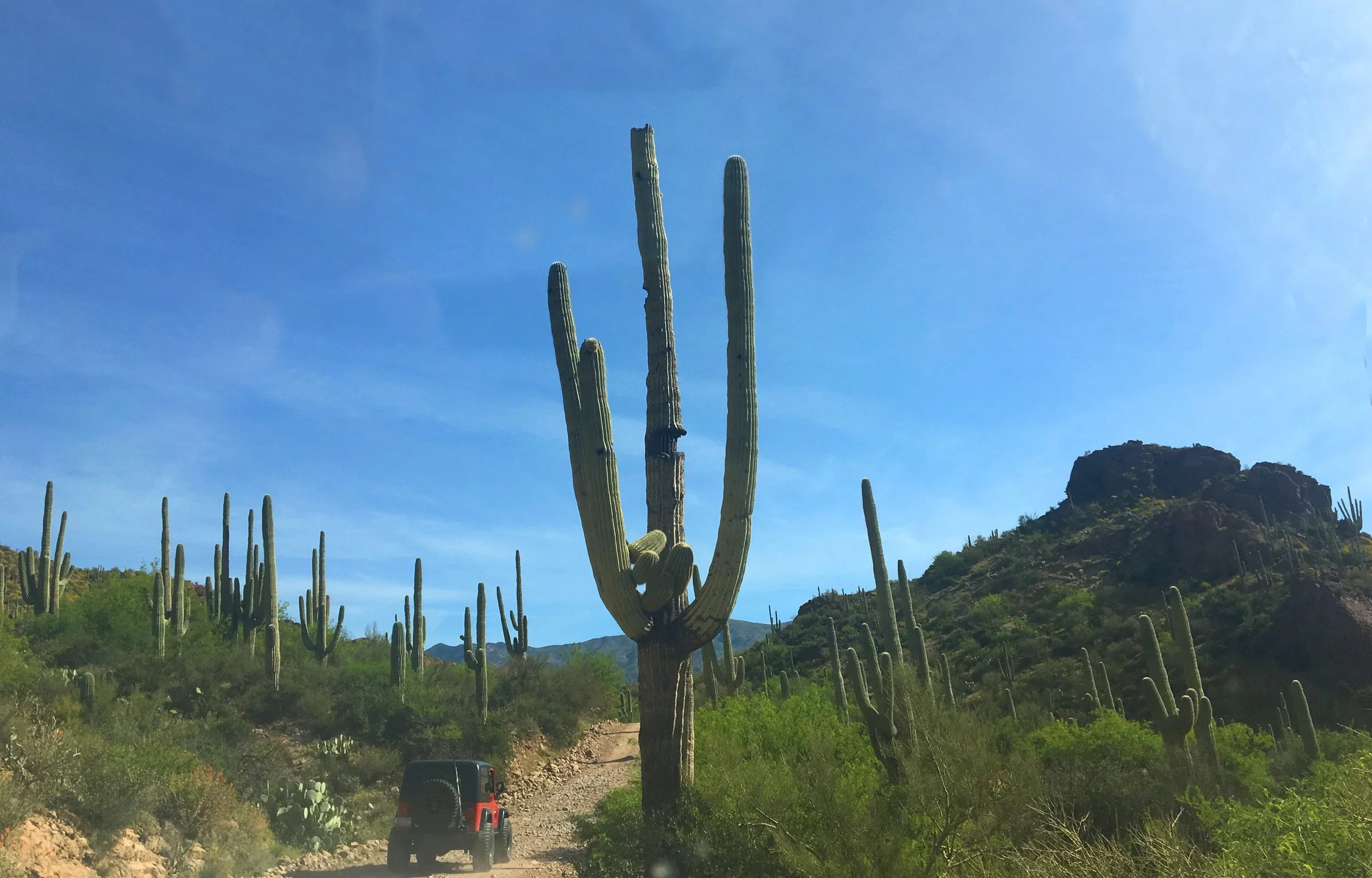 Canyon valley view between mountains seen on the Montana Mountain Loop Trail route.