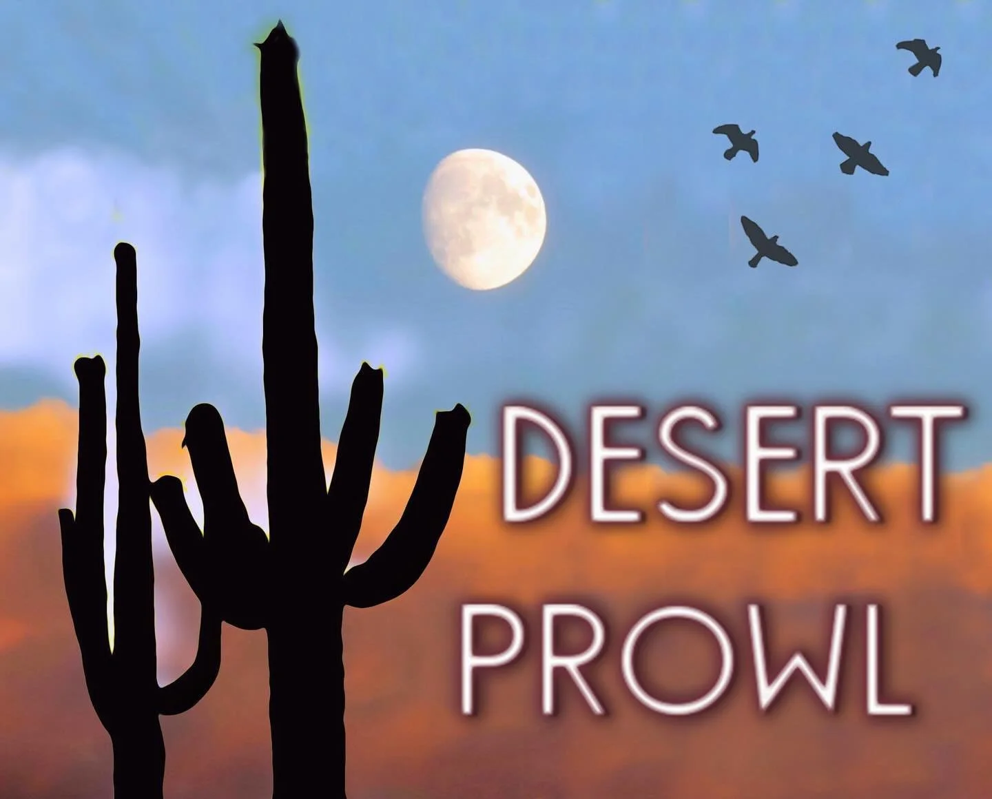 Just a little bit about Desert Prowl&hellip; 🔸 I&rsquo;ve been dilly dalllying in the desert for a long time. Always to my surprise, I&rsquo;ve had many people mention that they never knew there were so many interesting things in the desert. I&rsquo