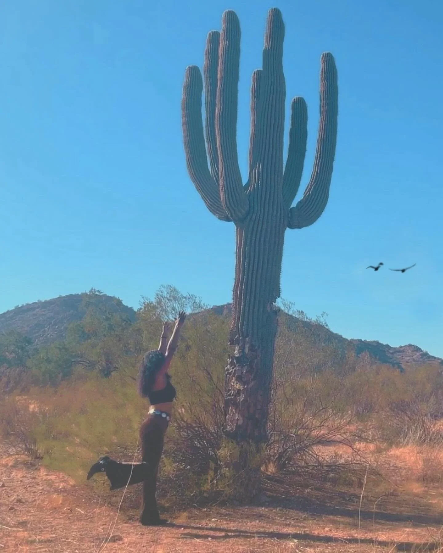 Many many moons ago I was a part of a group of people who imagined ourselves as Wild West outlaws and desert people. We gave ourselves alias as we journeyed, hence, Bandit Belanger. They kinda trailed off and went back into the real world but I never