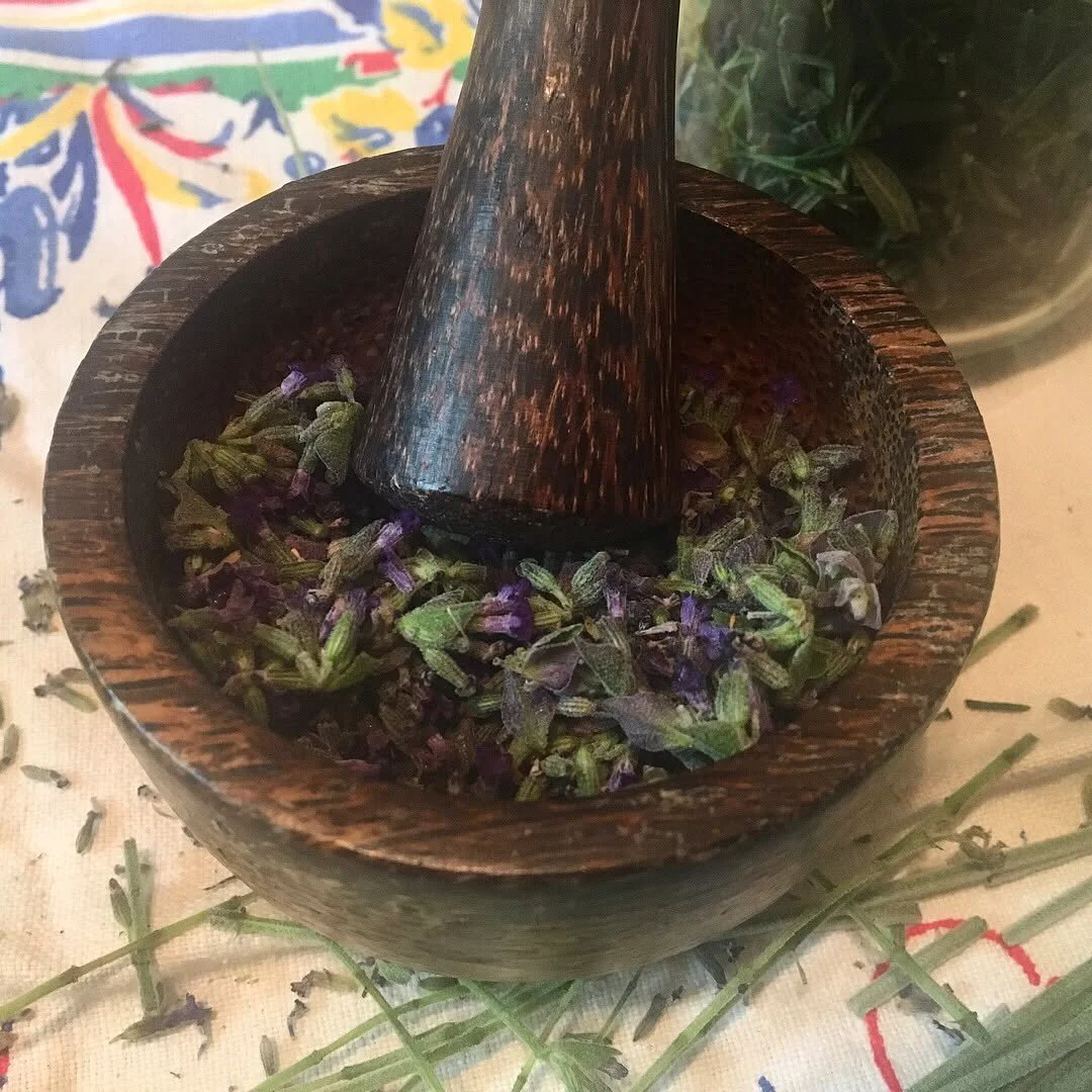 ✦ ✧ Home grown #lavender &amp; #rosemary... for various herbals &amp; other goods in support of Desert Howl Haven. ✦ ✧ #DesertHowl