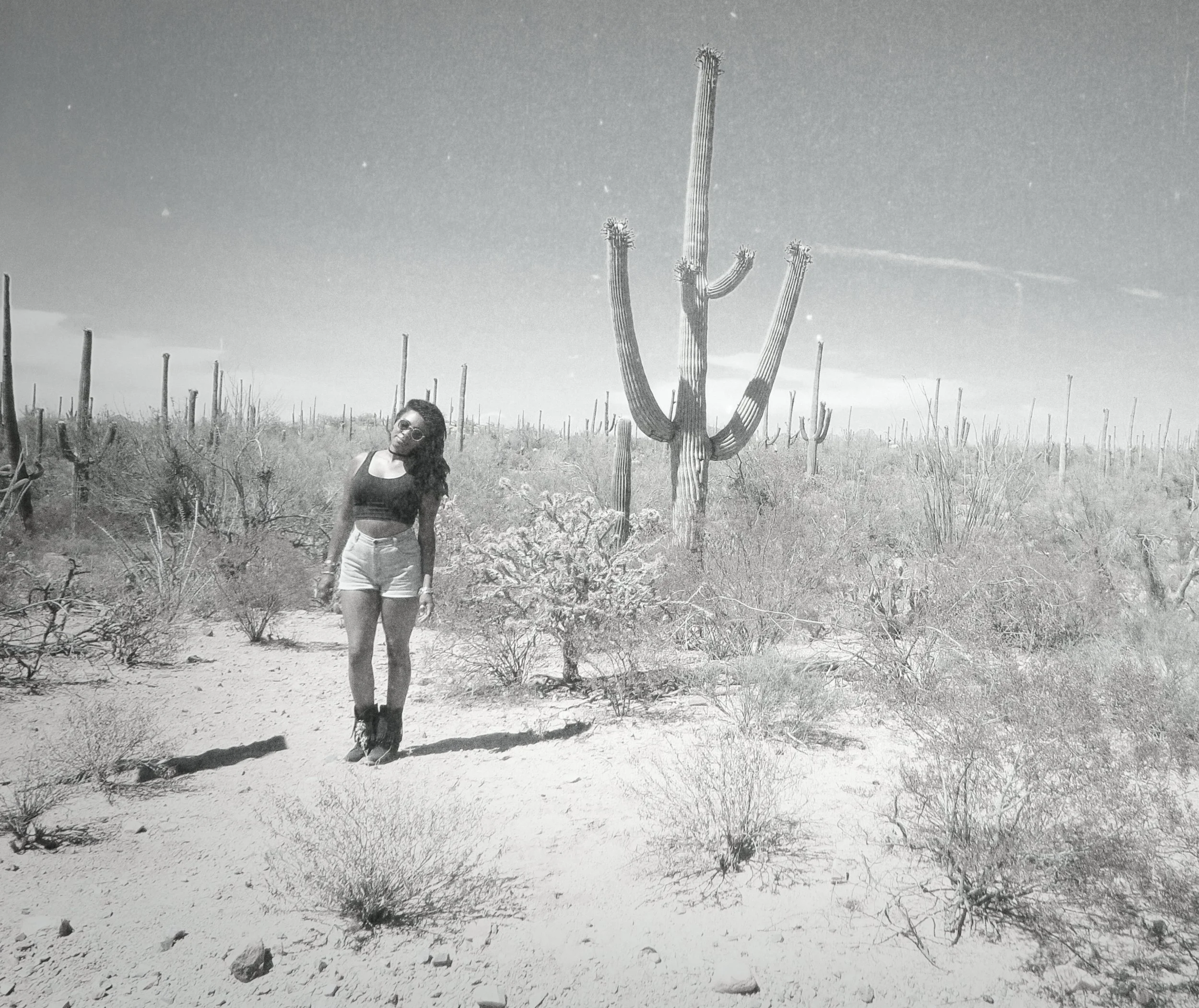 Saguaro National Park
