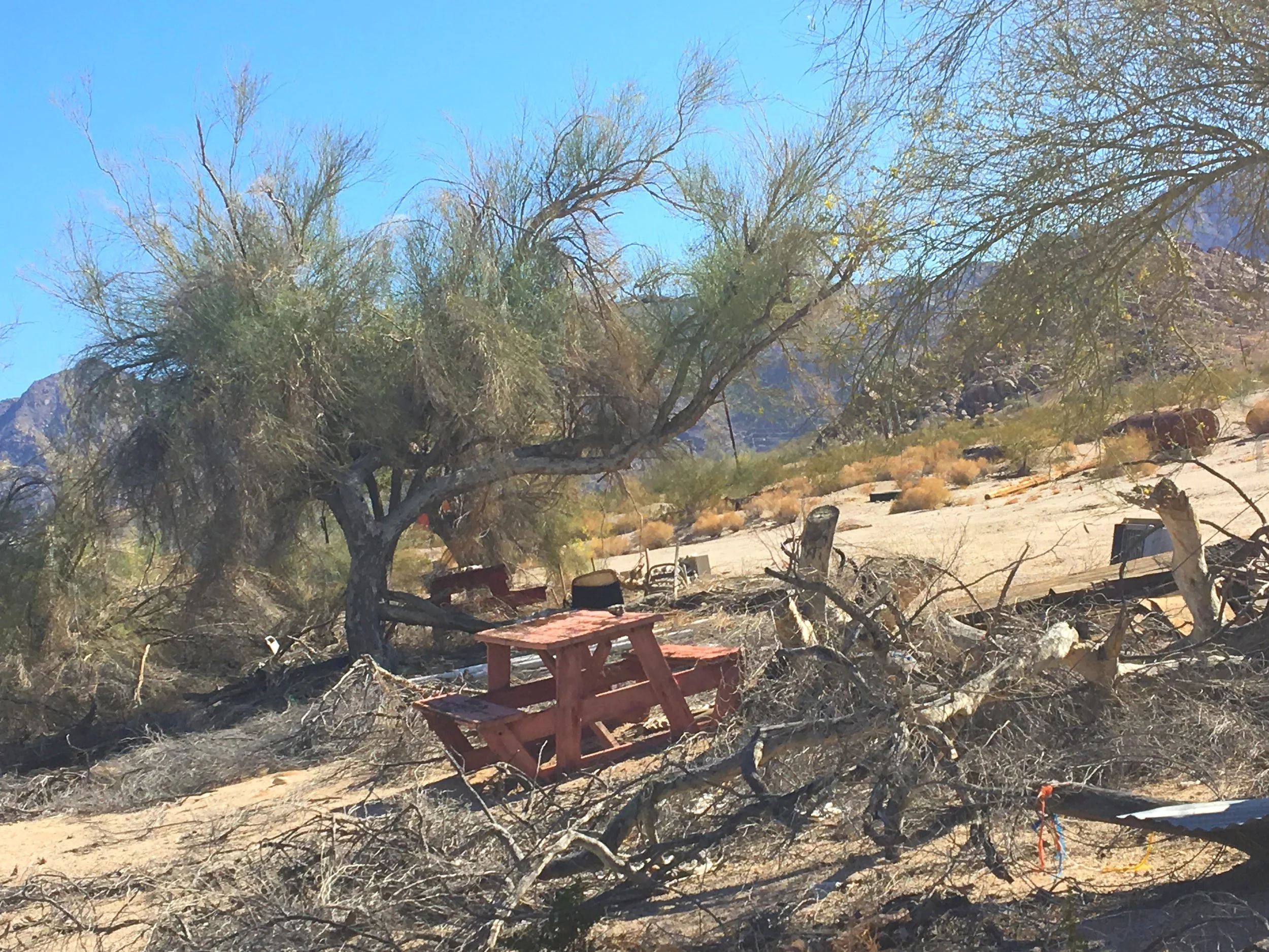 desert-center-picnic-table-desert-landscape.JPG