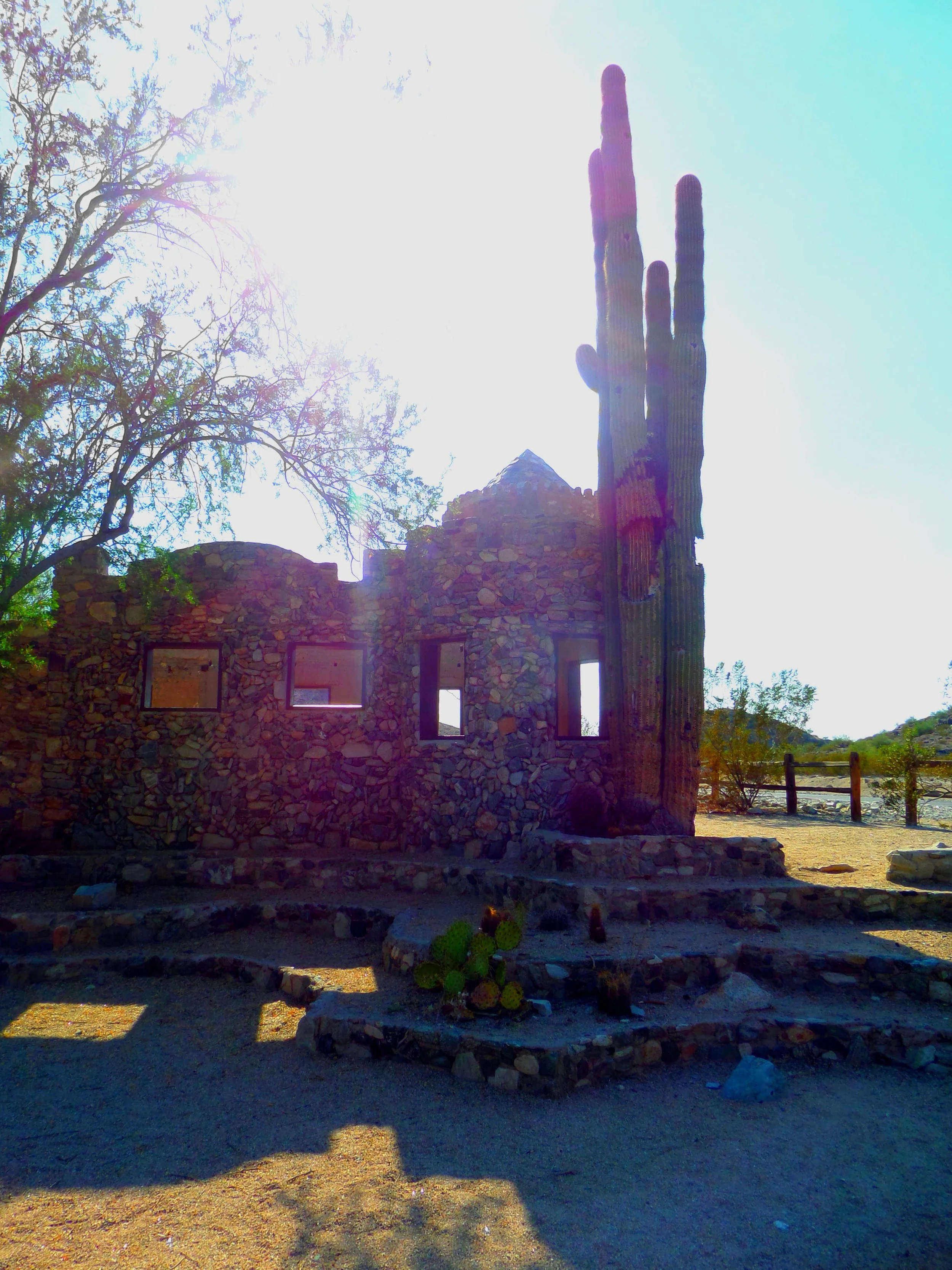 scorpion-gulch-saguaro-2015.JPG