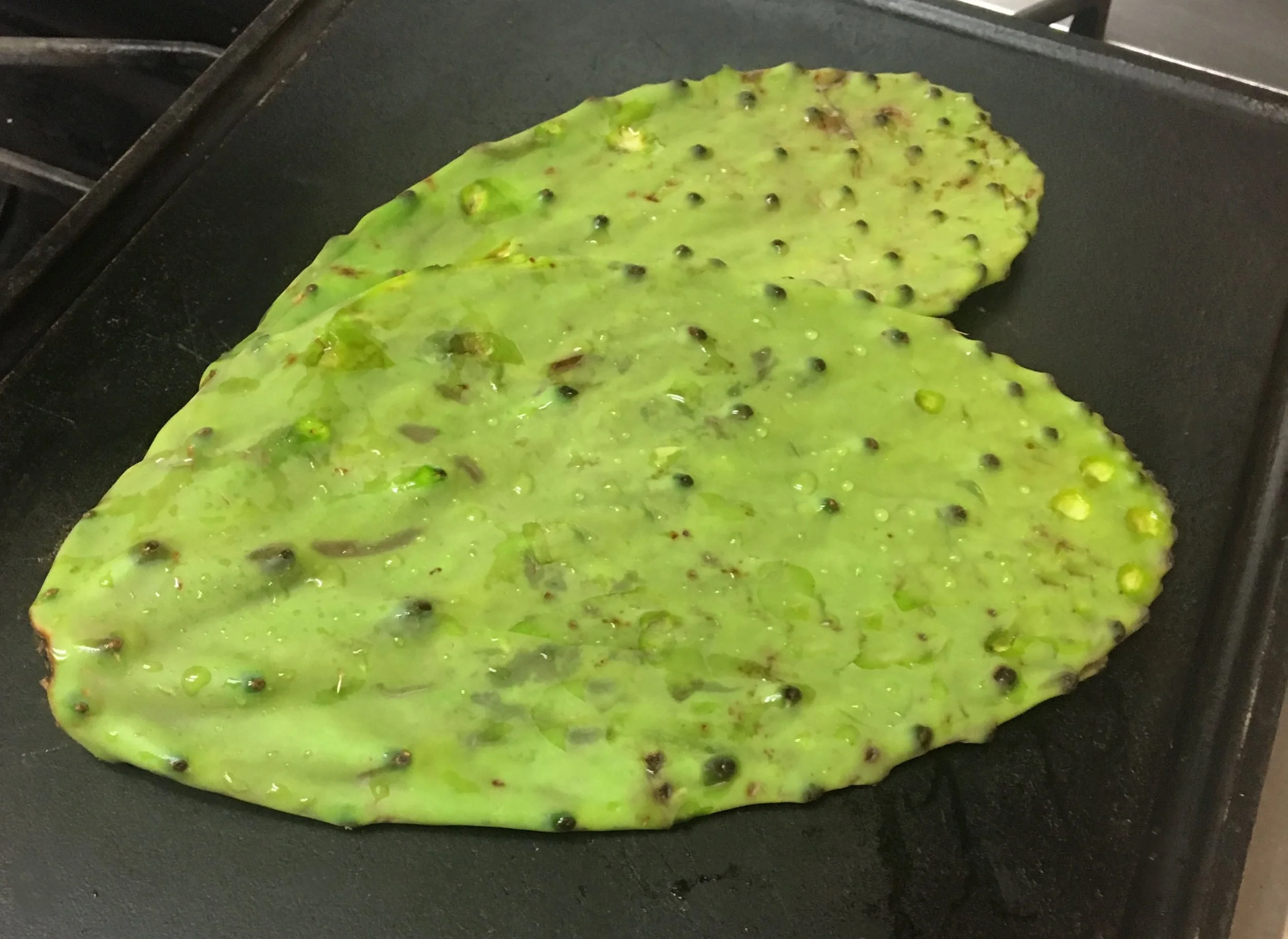Fresh nopal cactus paddle prepared for cooking with thorns removed and ready for use in Southwest-inspired recipes.