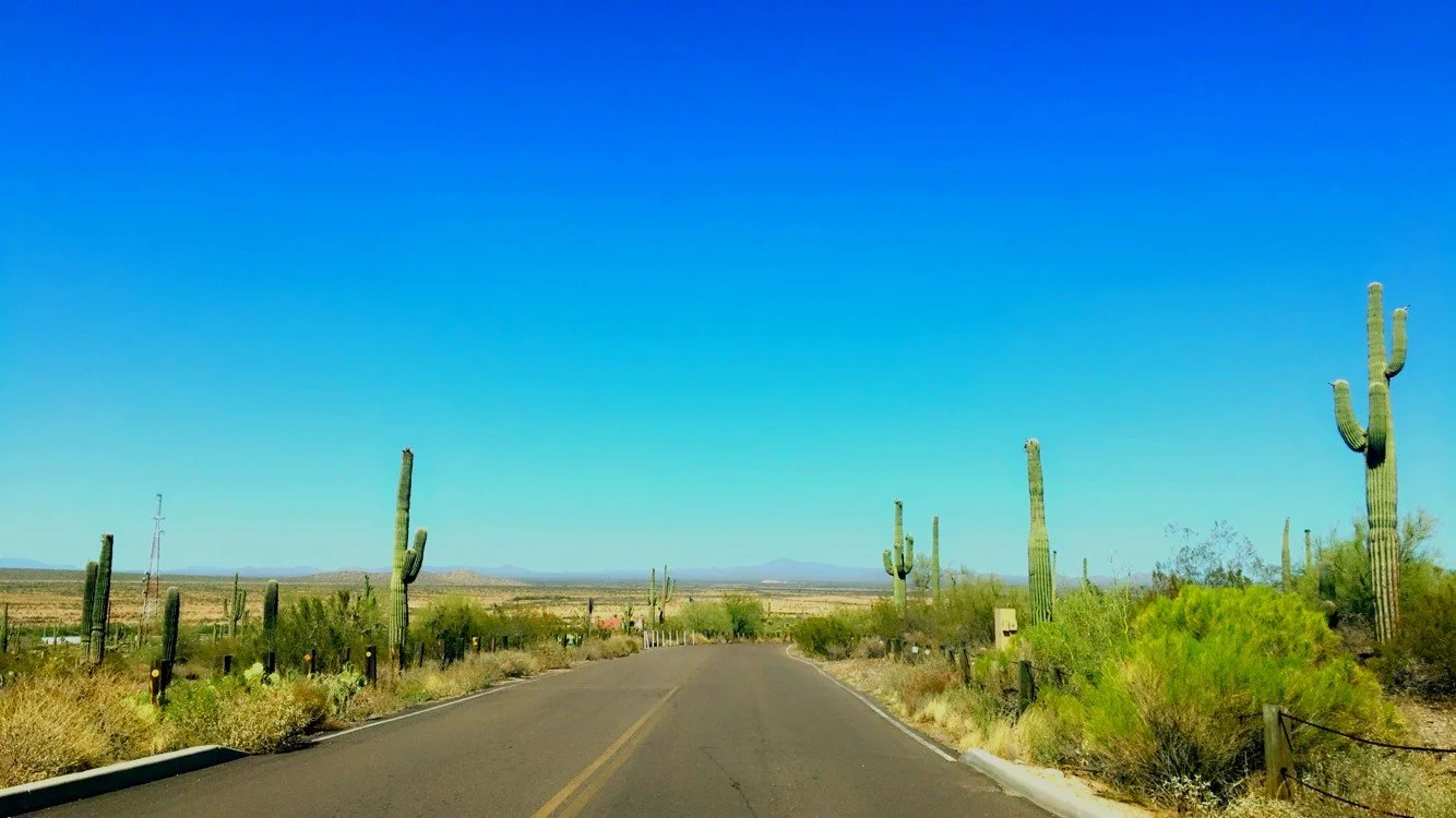 Scenic Old Spanish Entering via Old Spanish Trail in Tucson Saguaro National Park, Arizona.