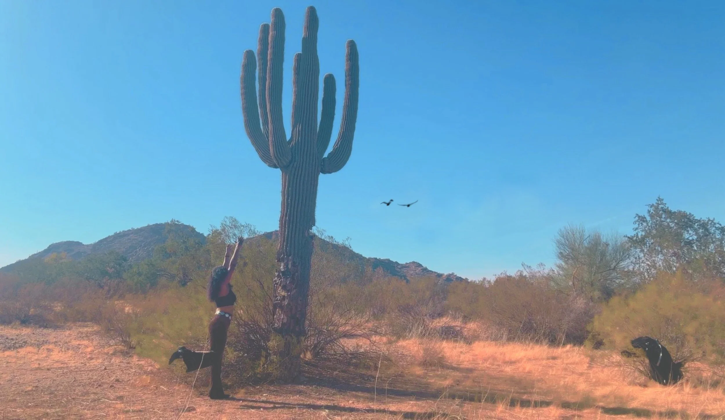 Hidden Valley, AZ ◇ 2025