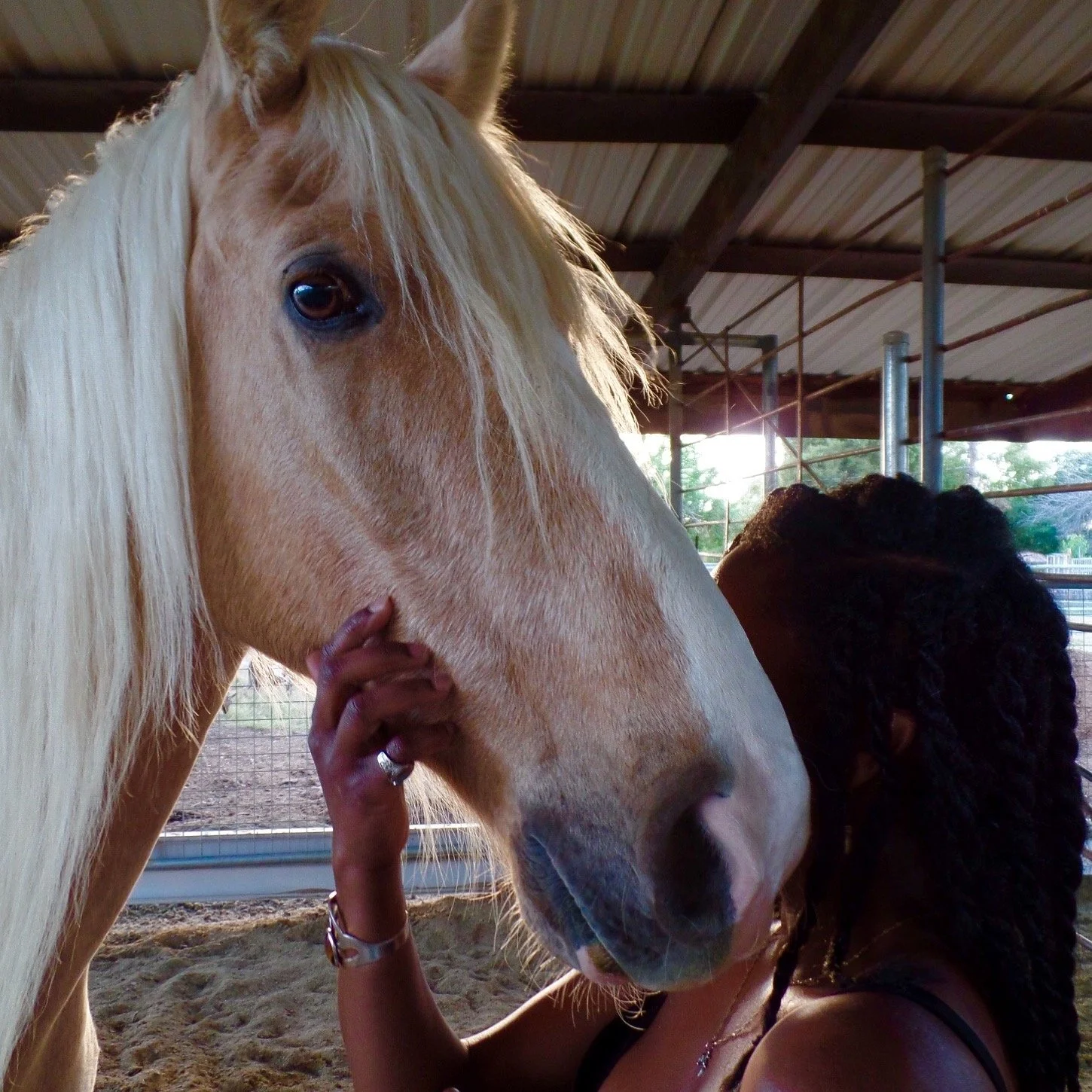 South Mountain Living, Phoenix, Arizona ◇ 2017