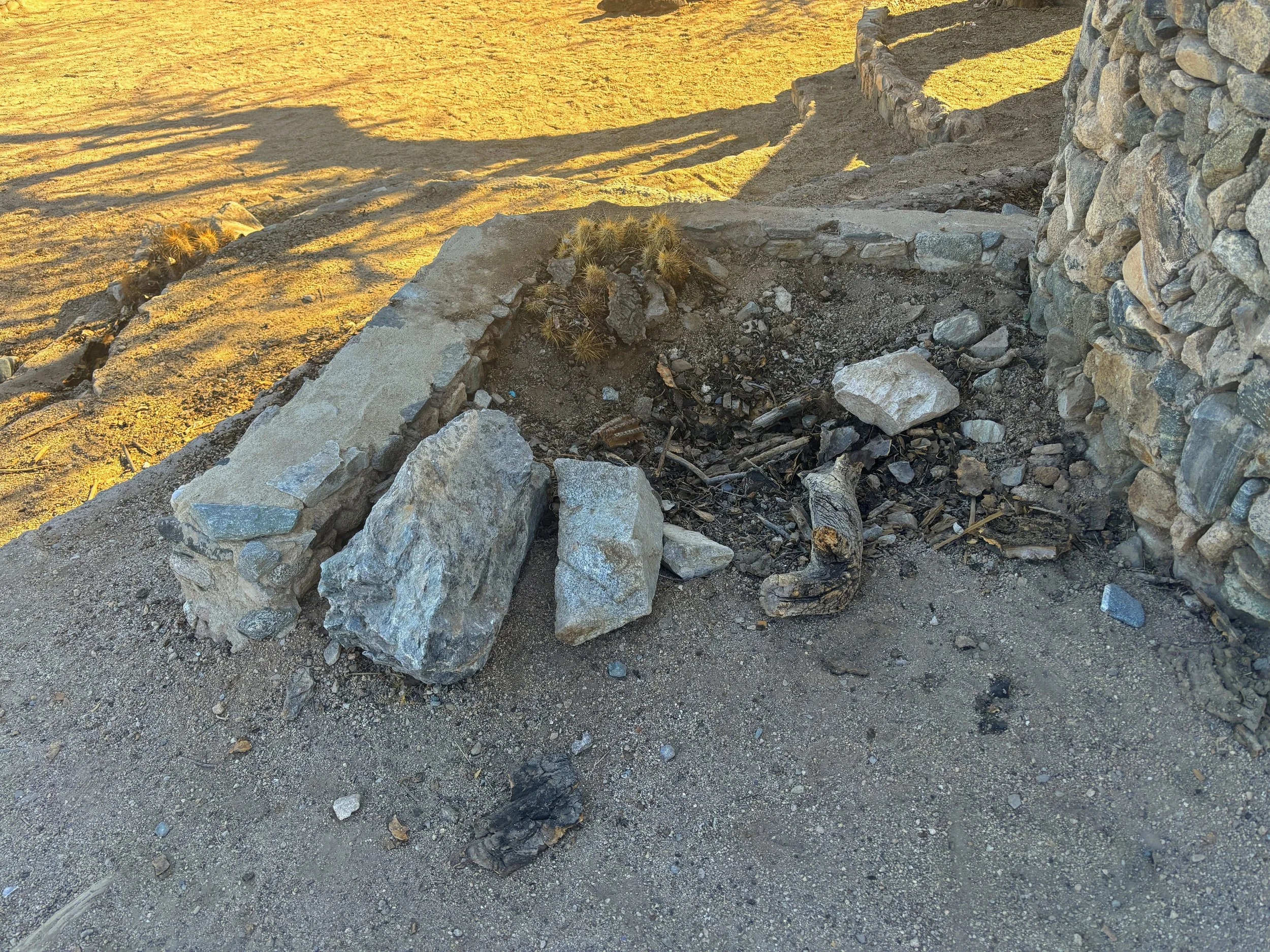 Close view of the former saguaro site at Scorpion Gulch, with woody cactus remains and debris beside the stone building.