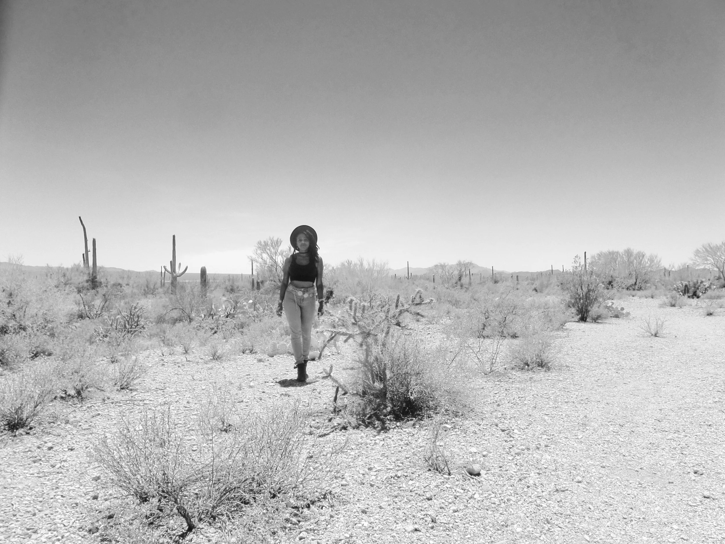 Saguaro National Park, Tucson, Arizona ◇ 2016