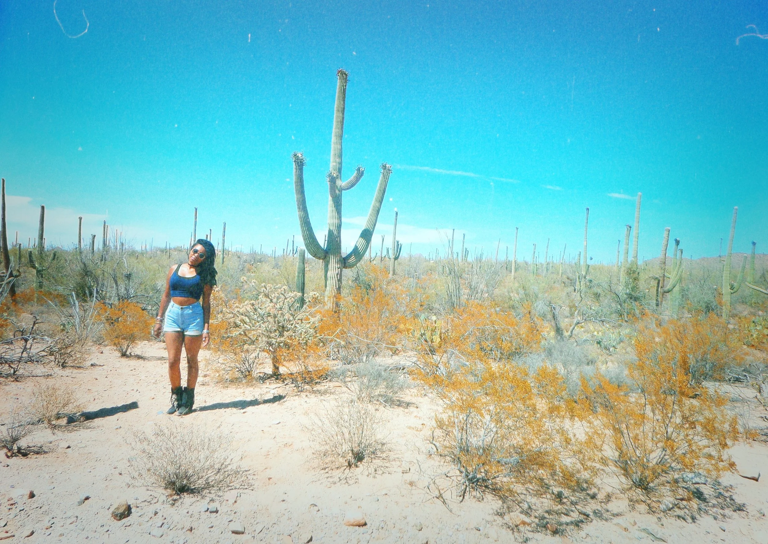 Saguaro National Park, Tucson, Arizona ◇ 2016