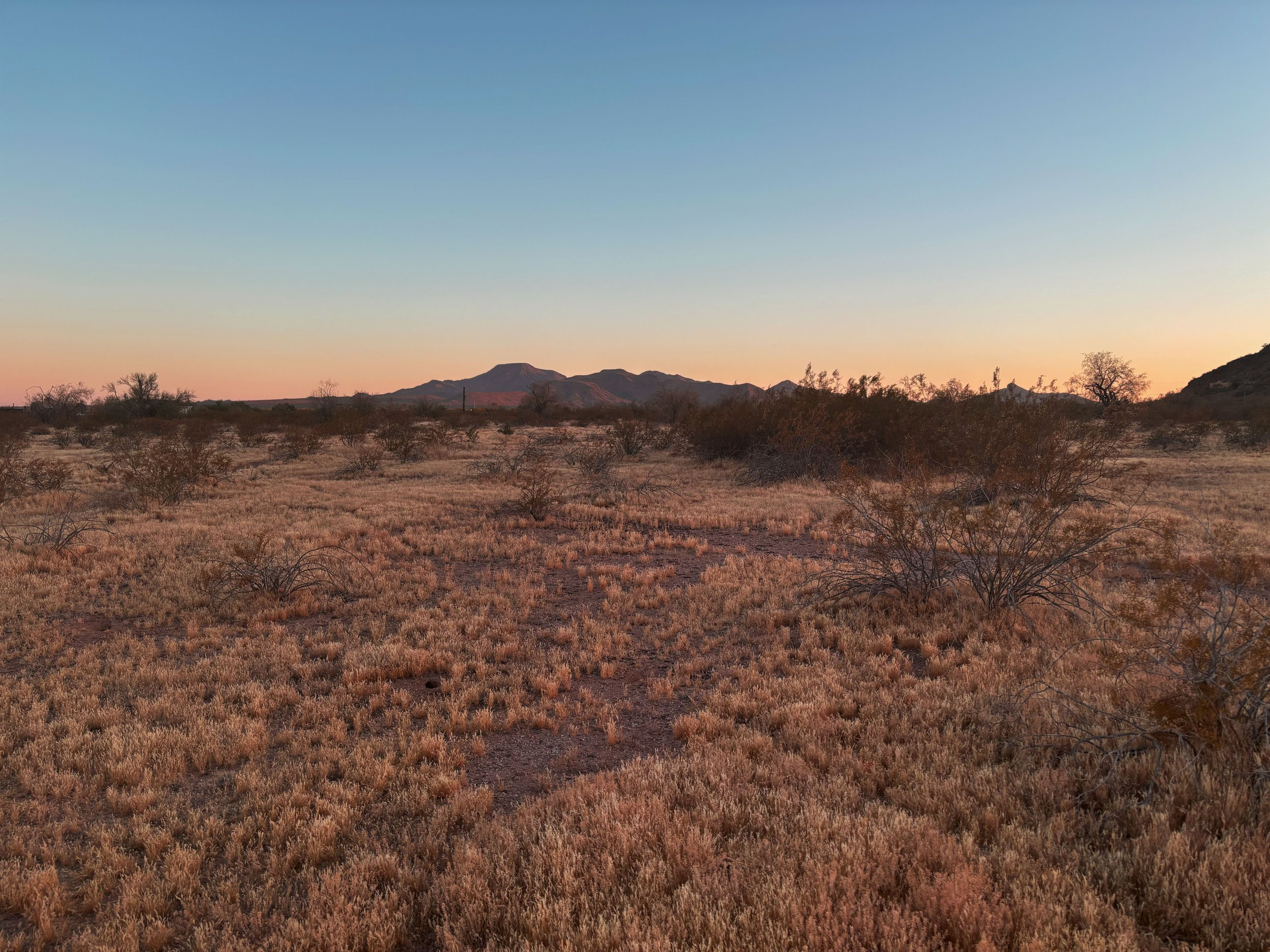 Desert landscape at sunset with sparse shrubs and distant hills.