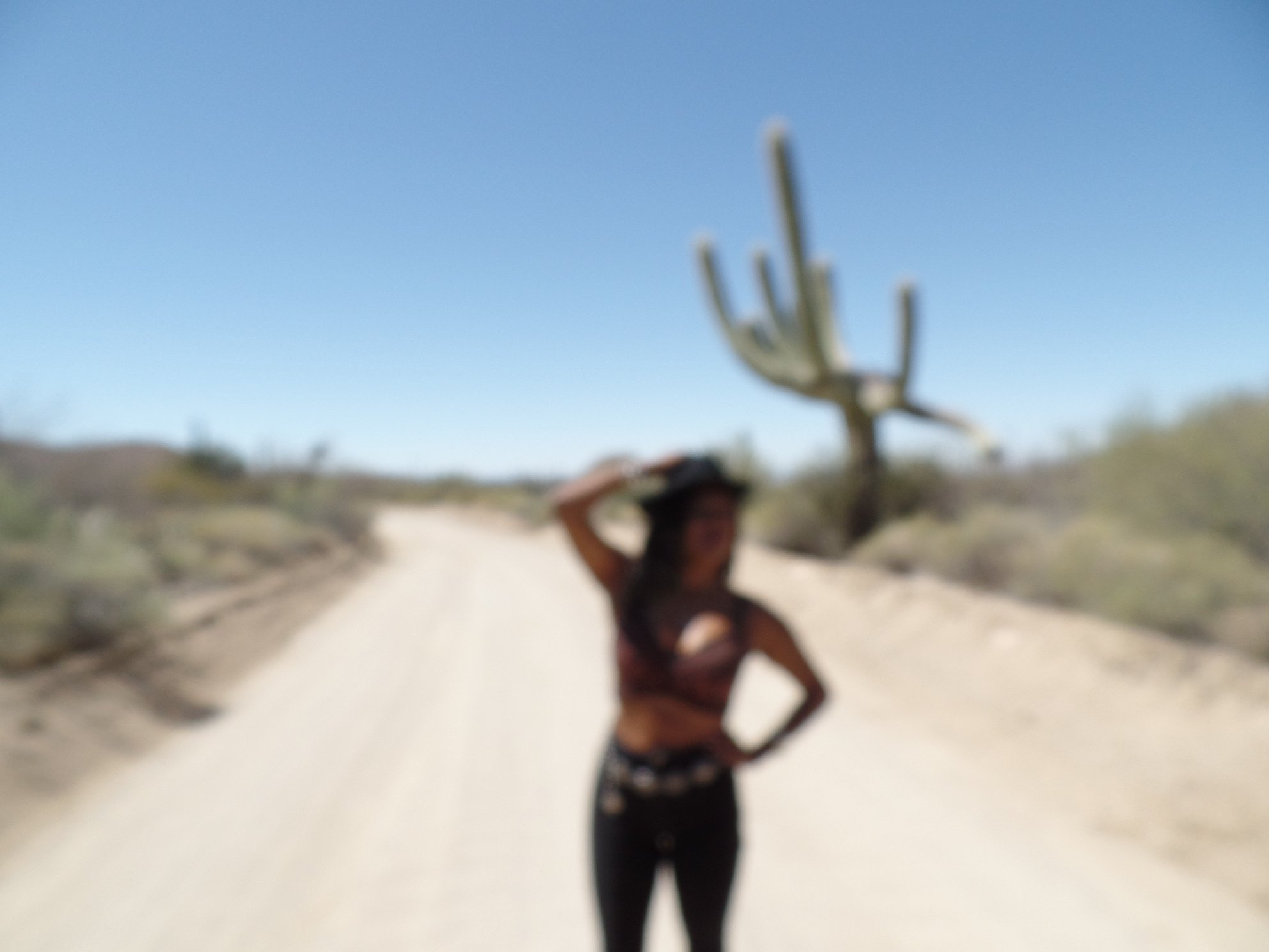 Saguaro National Park, Tucson, Arizona ◇ 2017