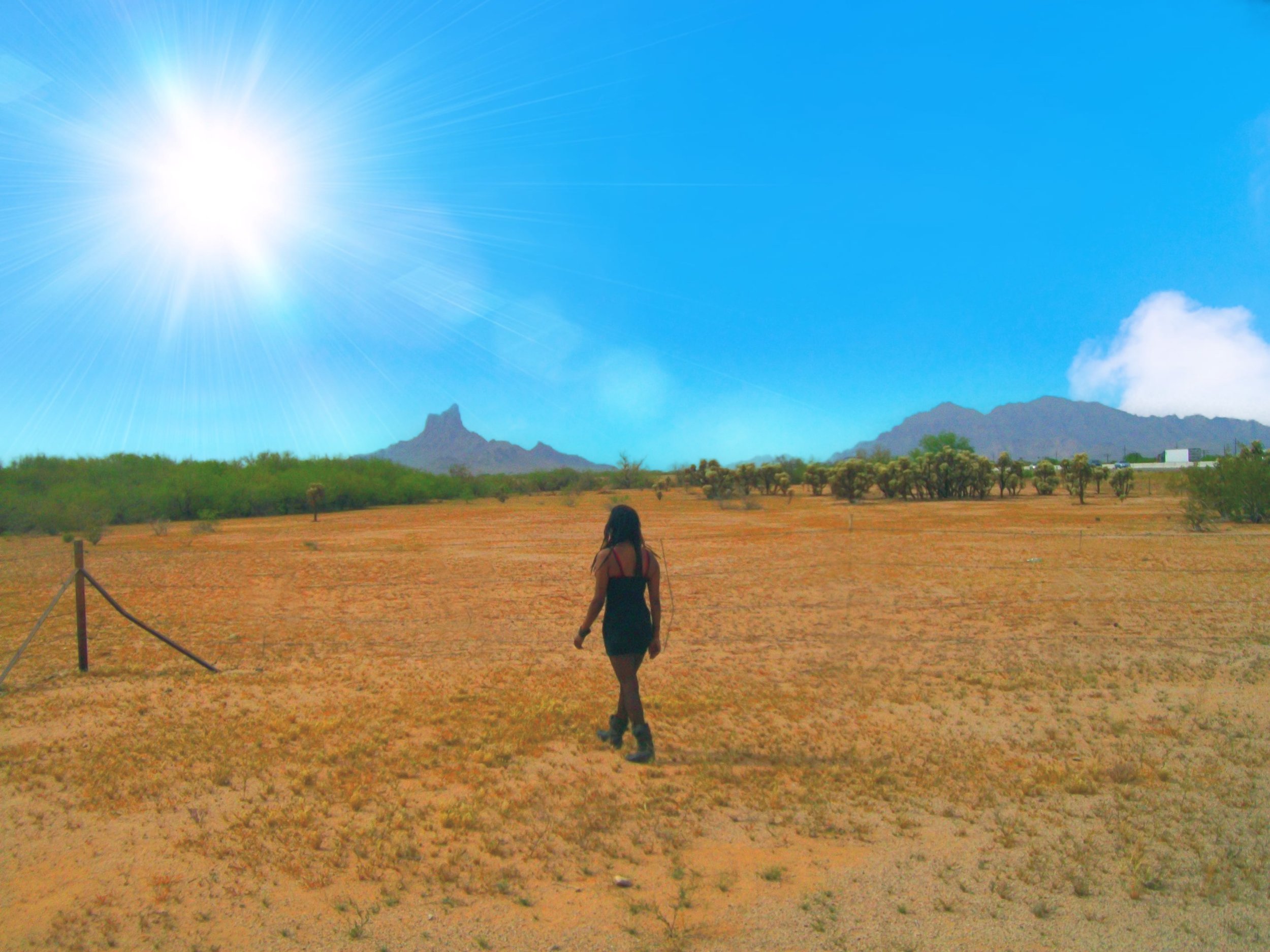 On the road to Tucson, Arizona... Facing Picacho Peak ◇ 2012
