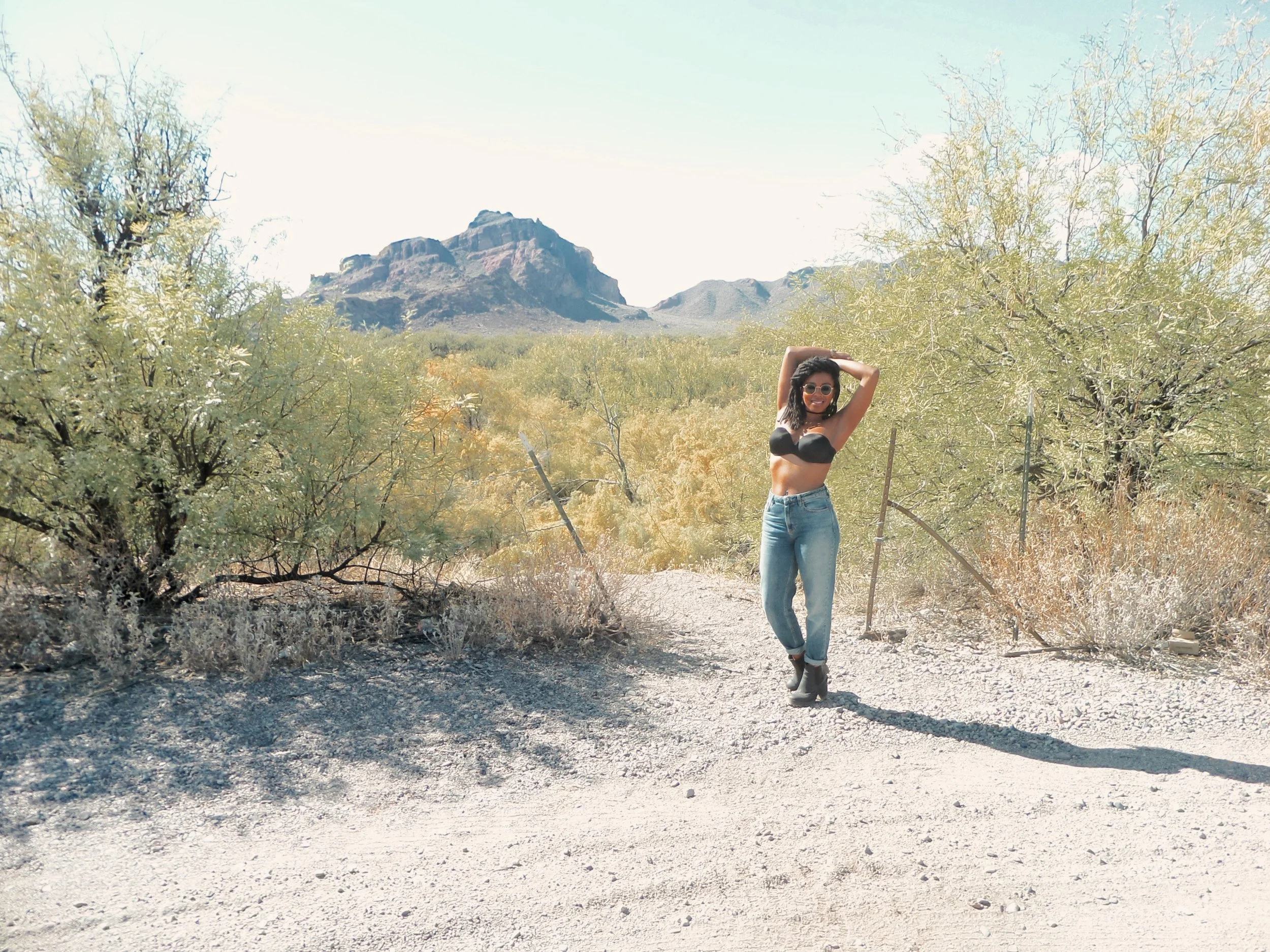 Red Mountain/Mount McDowell/O'odham: S-wegĭ Doʼag, Yavapai: Wi:kawatha, Mesa, Arizona ◇ 2015