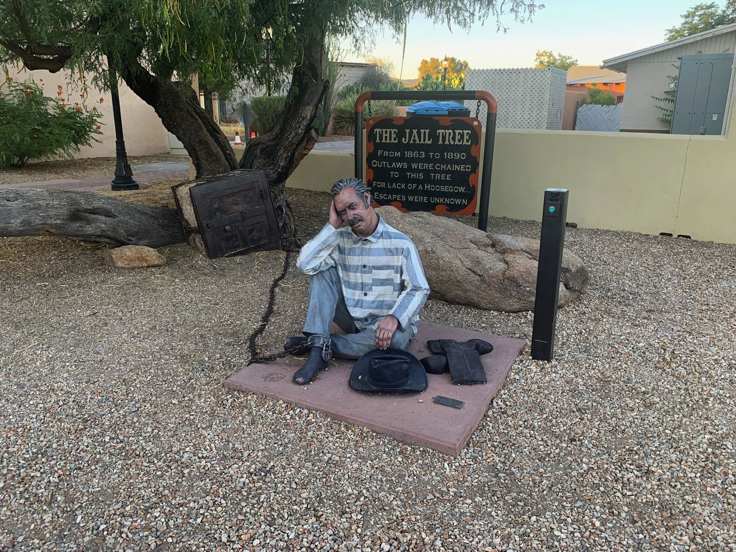 Statue of an outlaw chained beneath the historic Wickenburg Jail Tree with interpretive sign in Wickenburg, Arizona.
