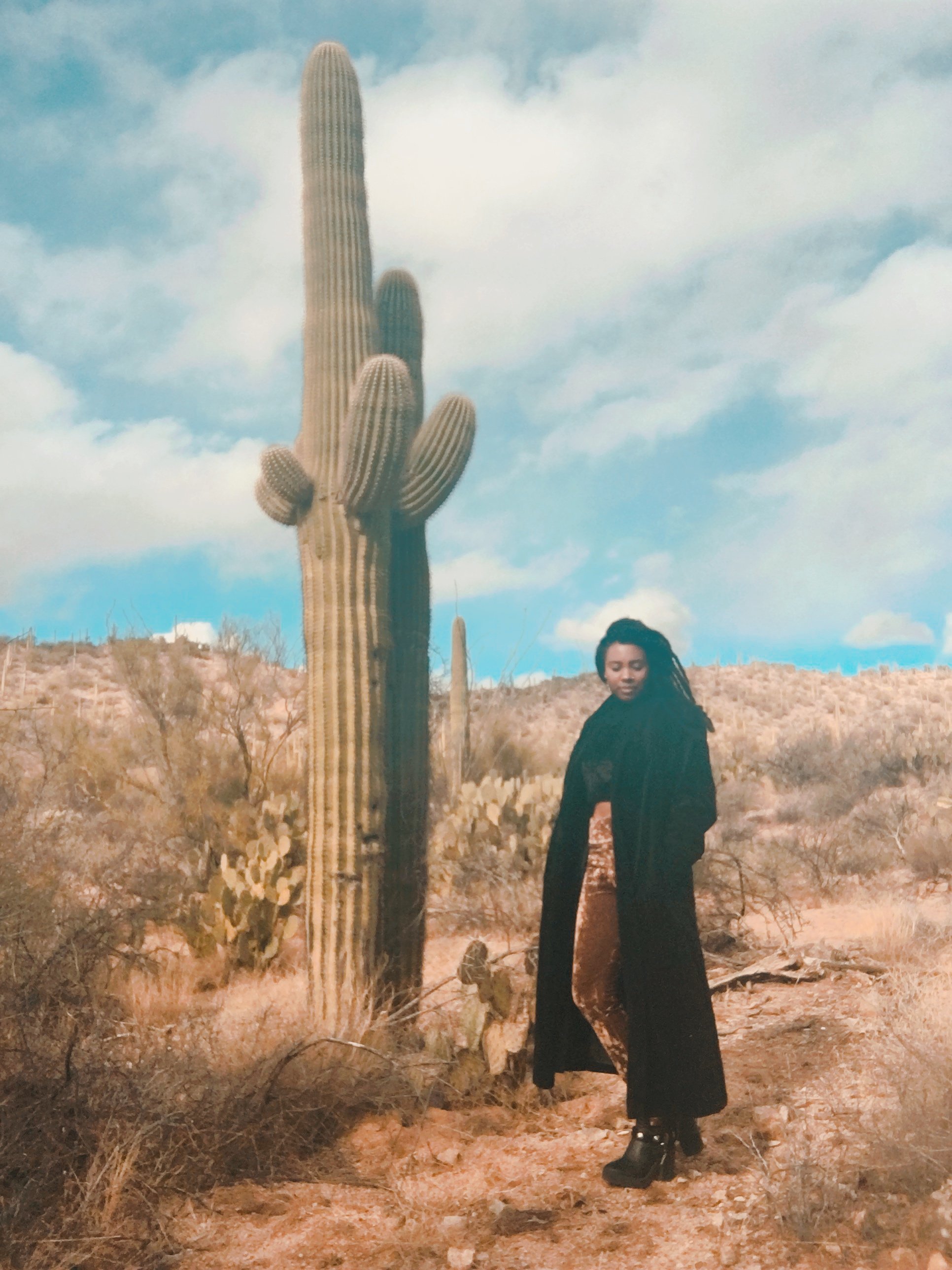 Saguaro National Park, Tucson, Arizona ◇ 2016