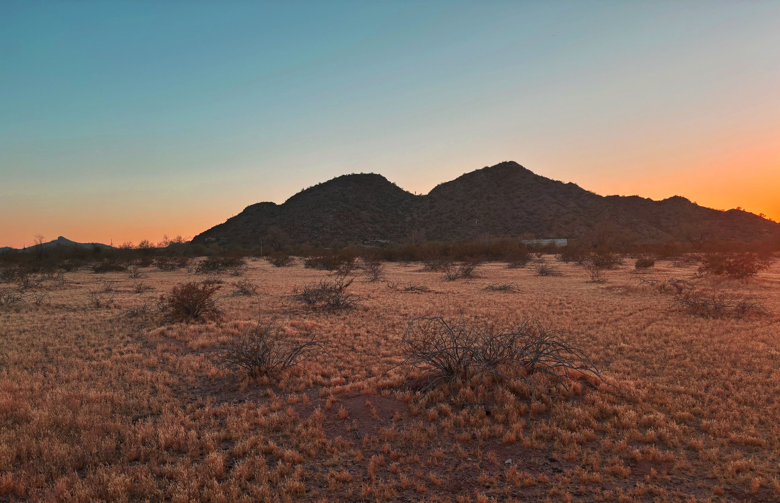 Desert landscape at sunset with mountains in the background and dry sparse bushes in the foreground.