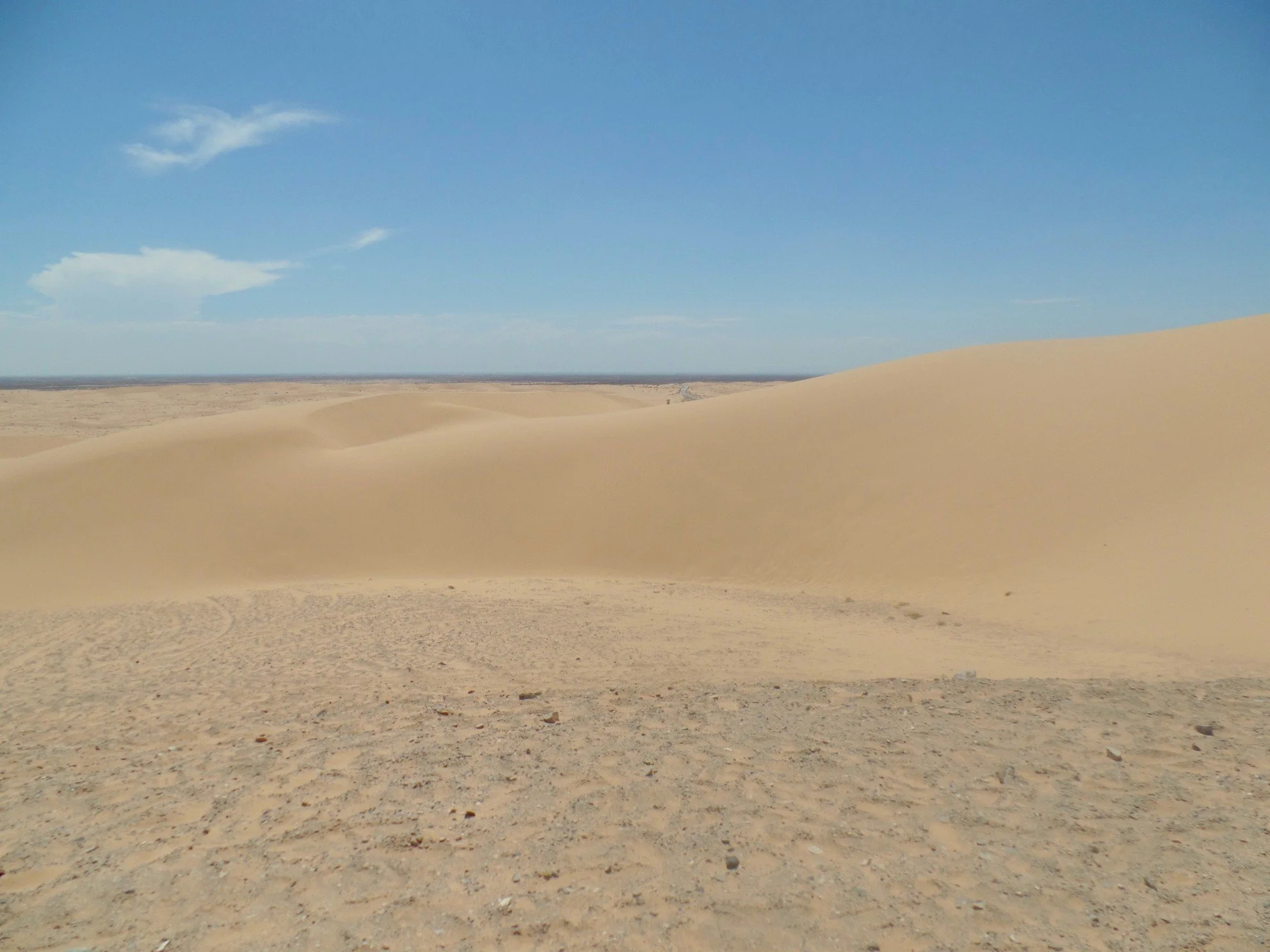 Wandering through wave-like sand dunes in Southern California.