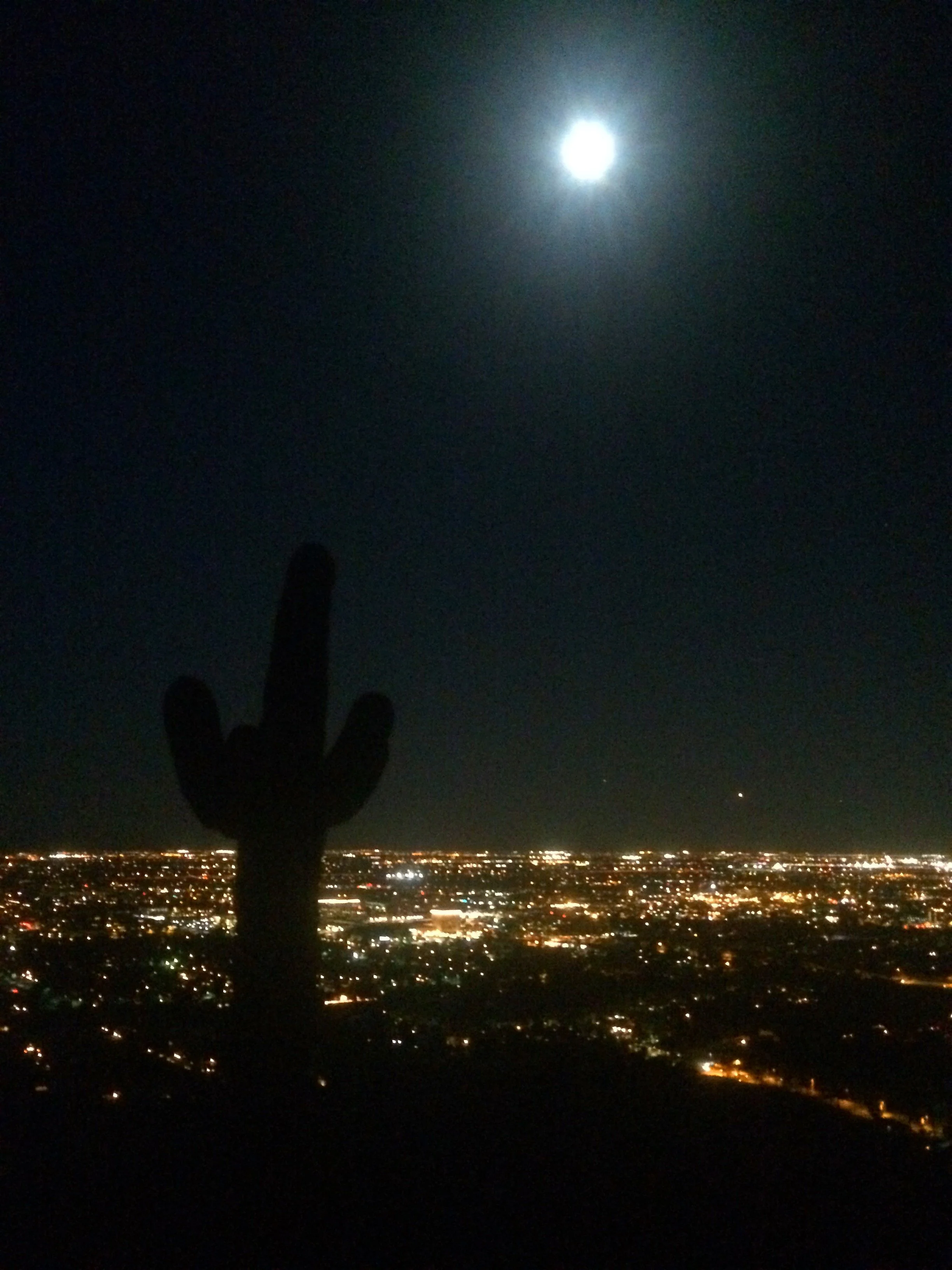 Moon rising above a saguaro cactus on Camelback Mountain after sunset.
