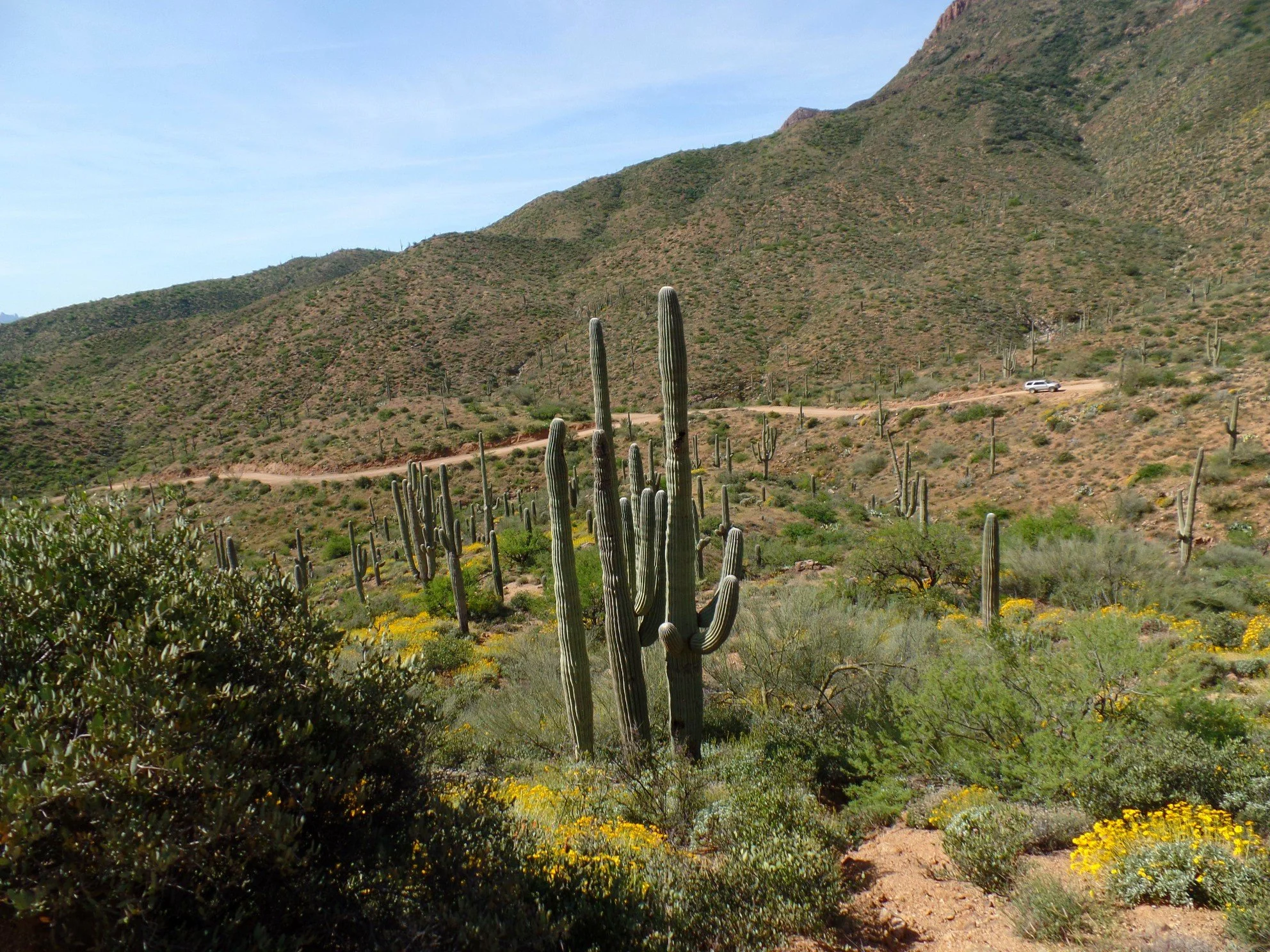 Desert mountain landscape along Montana Mountain Loop Trail under clear blue sky.