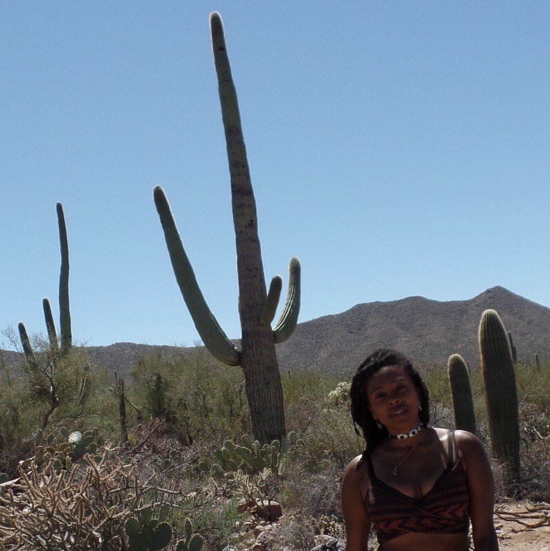 Saguaro National Park, Tucson, Arizona ◇ 2017