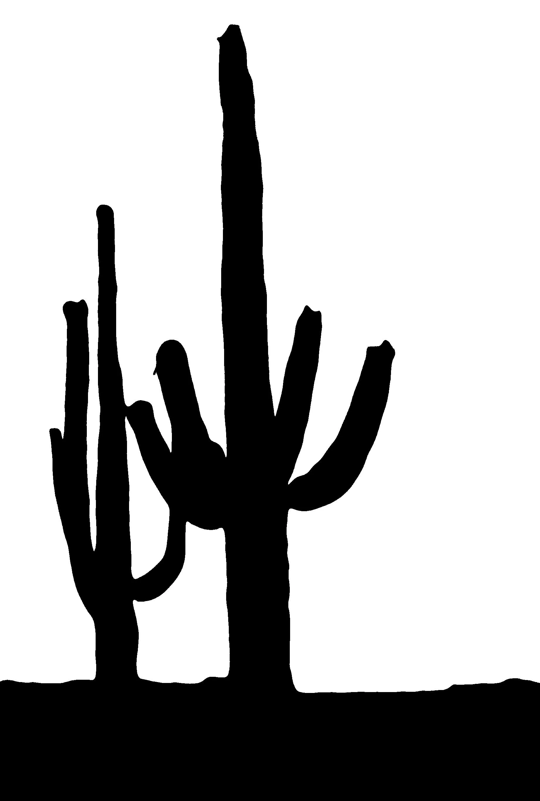 Black and white saguaro scenic silhouette.