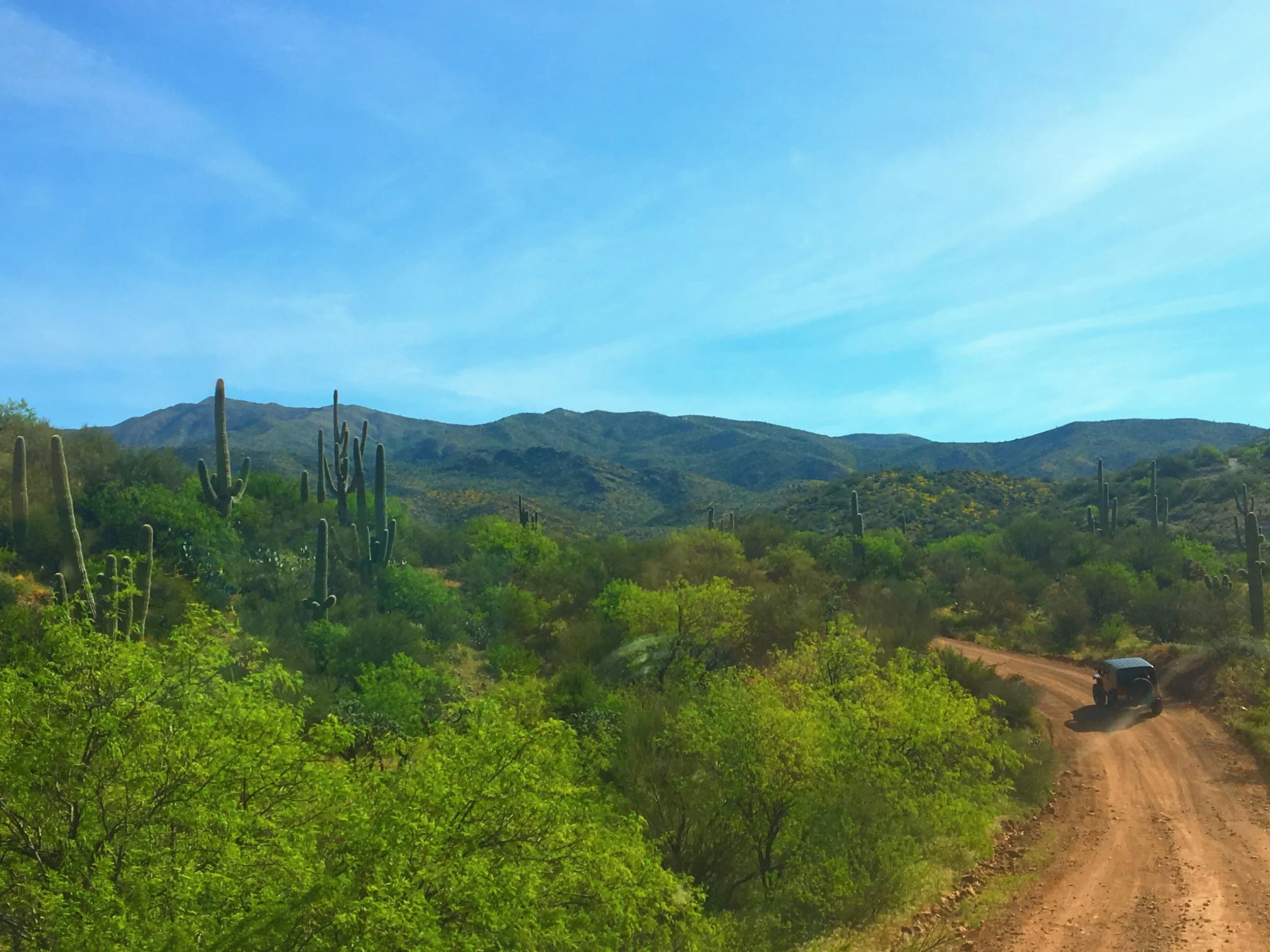 Desert mountain landscape along Montana Mountain Loop Trail under clear blue sky.