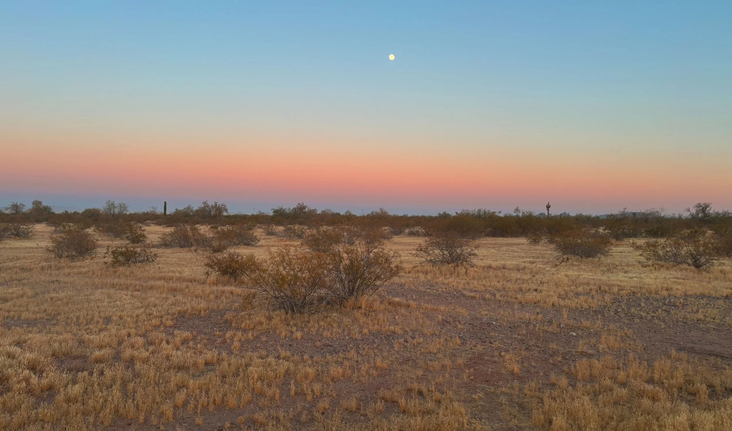 A desert landscape during sunset with dry grass, scattered bushes, and distant cacti under a colorful sky with a visible moon.