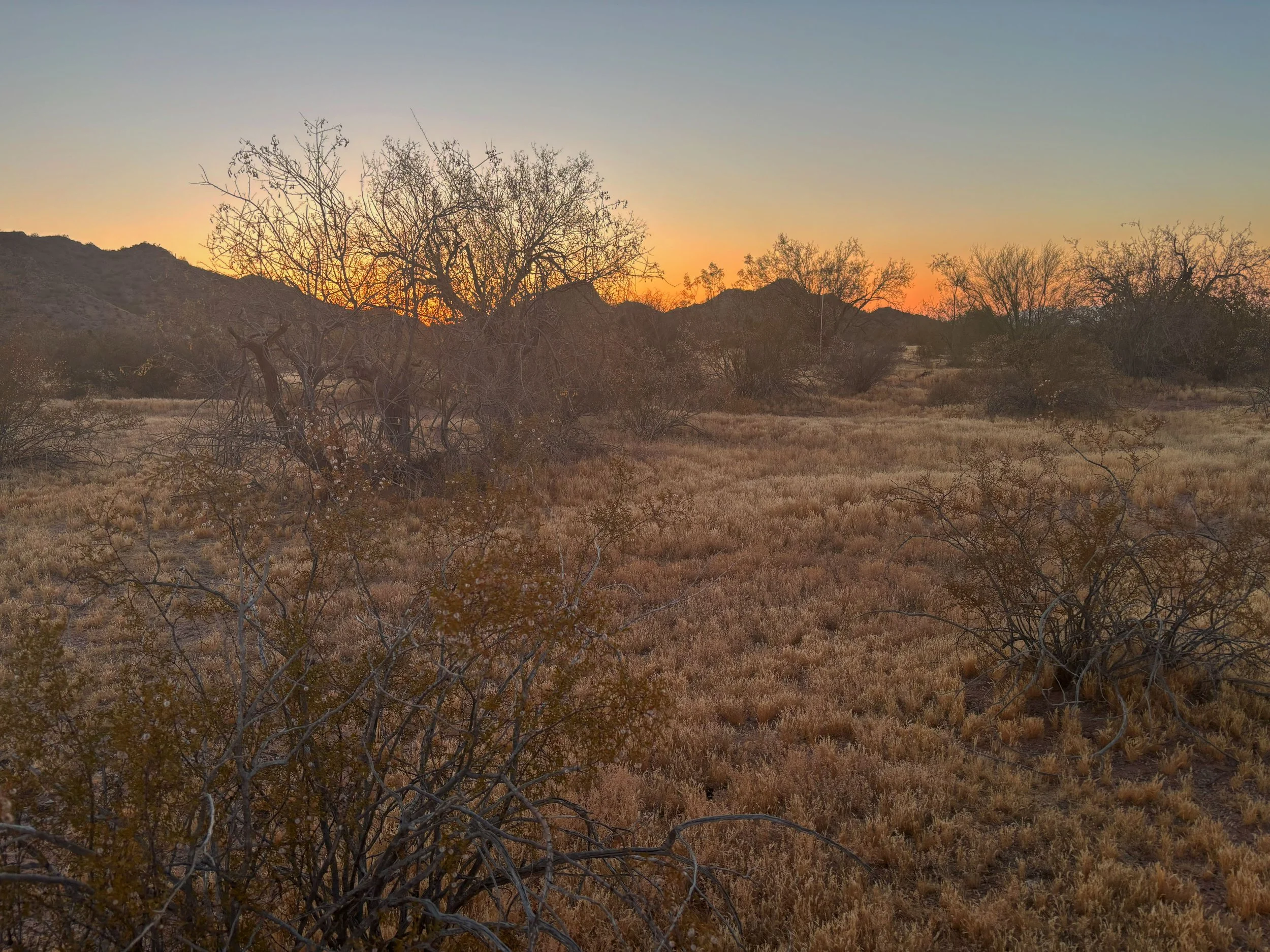 Desert landscape at sunset with dry bushes, sparse trees, distant mountains, and a colorful sky with orange and blue hues.