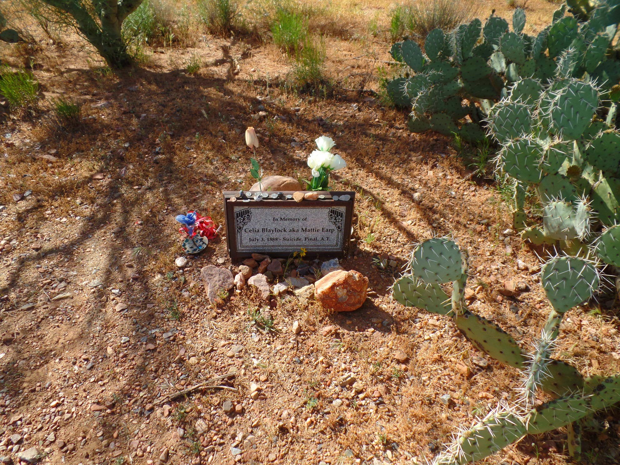 Old West gravesite with headstone marking the gravesite of Mattie Earp in Arizona.