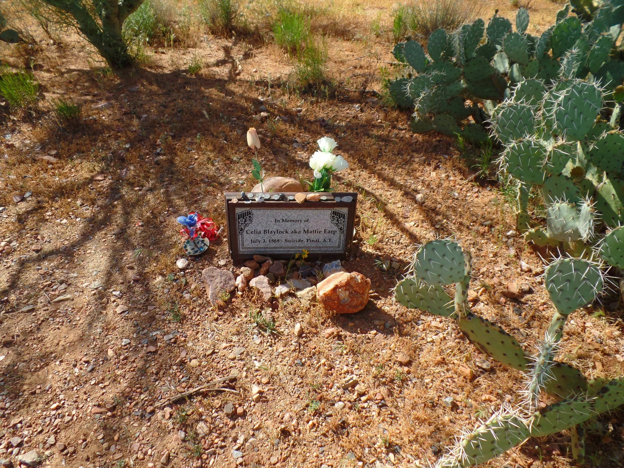 Old West gravesite with headstone marking the gravesite of Mattie Earp in Arizona.