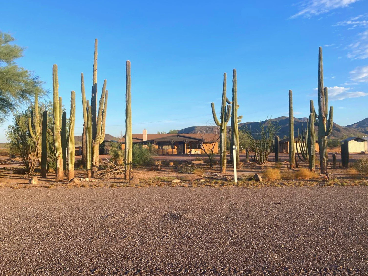Historic ranch property associated with John Wayne’s Red River Ranch operations along Highway 84 near Stanfield, Arizona, surrounded by saguaros and Sonoran Desert scenery.
