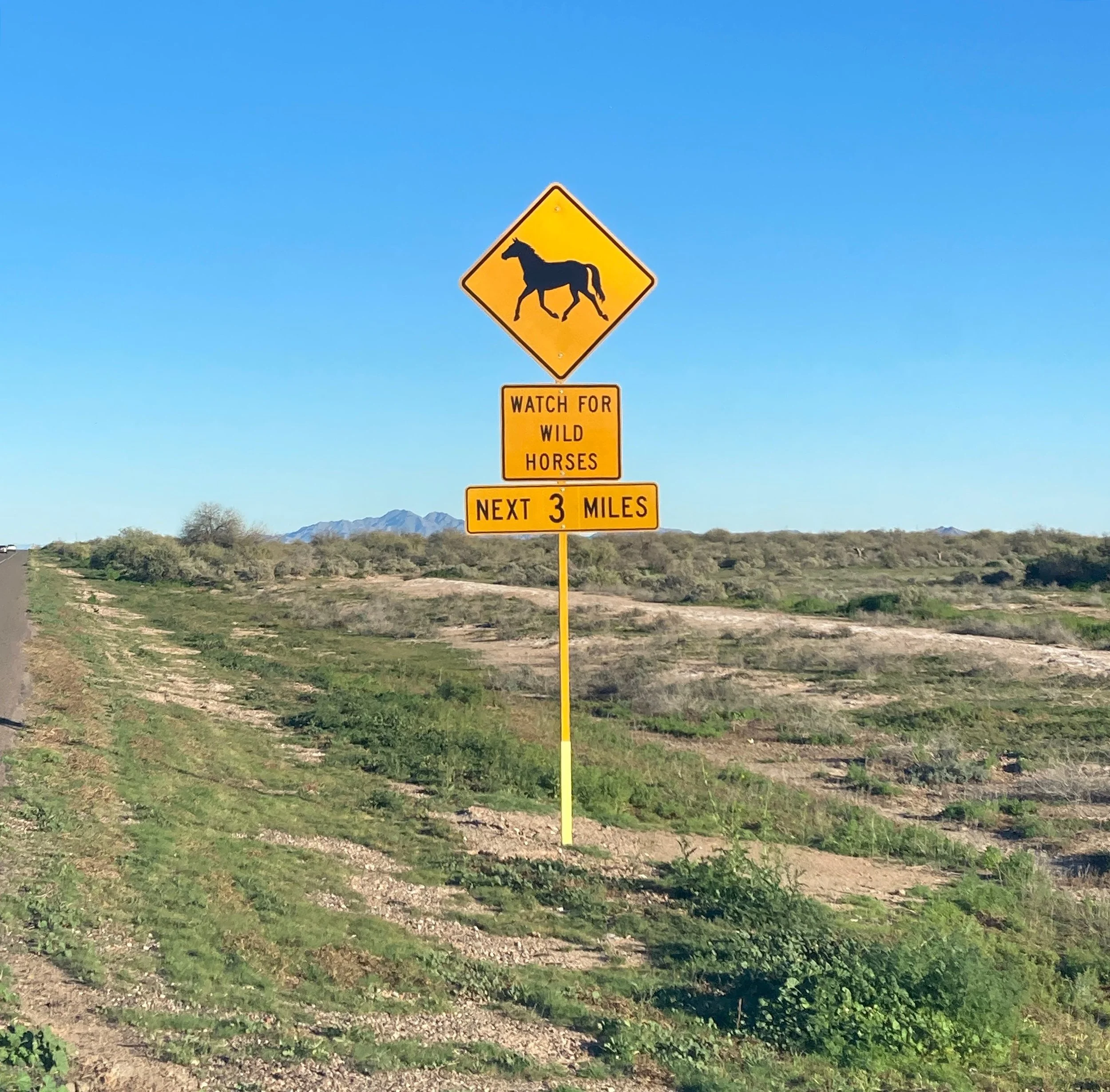 Yellow road sign warning drivers to watch for wild horses over the next three miles in an open desert landscape.