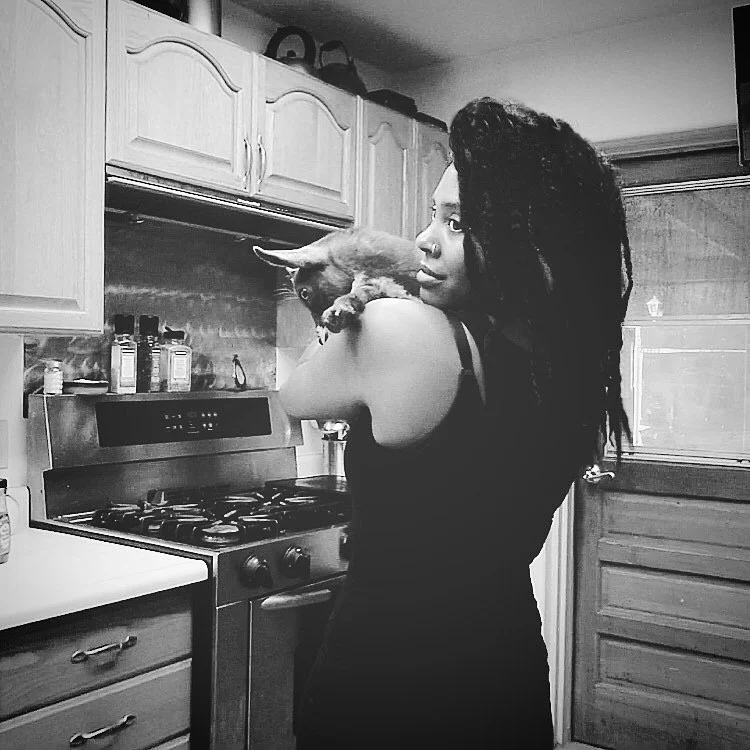 South Mountain Living, Phoenix, Arizona ◇ 2017