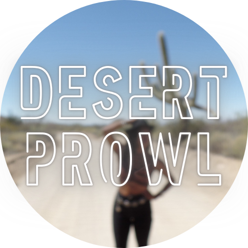 Desert Prowl logo over a blurred Arizona desert road with saguaro cactus in the background