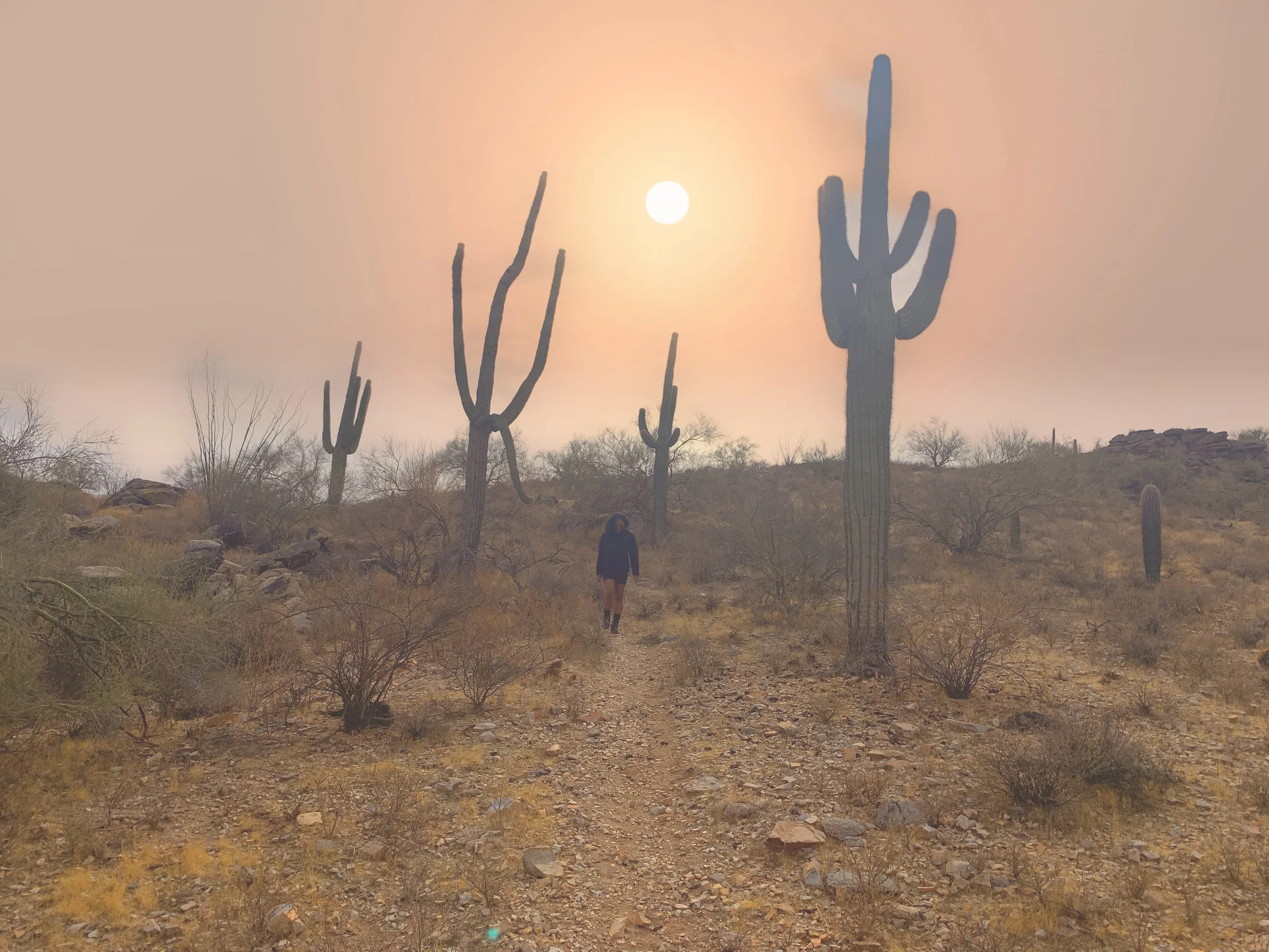 South Mountain, Phoenix, AZ ◇ 2024