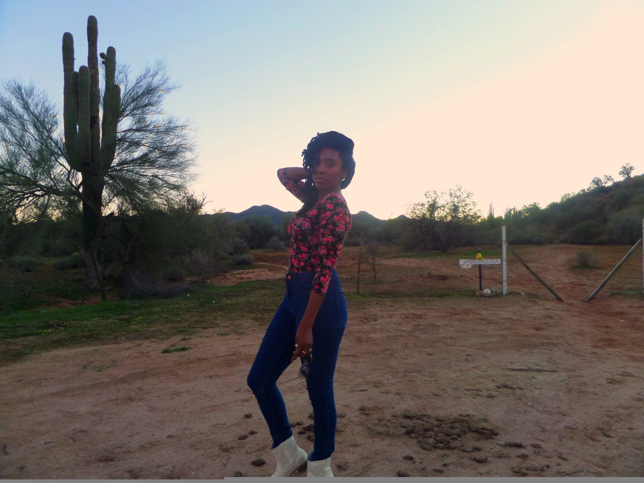 Mesa, Arizona ◇ 2014