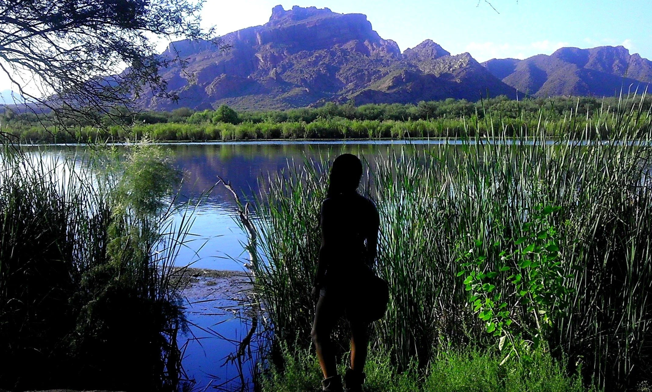 Facing Red Mountain/Mount McDowell/O'odham: S-wegĭ Doʼag, Yavapai: Wi:kawatha, Mesa, Arizona ◇ 2012
