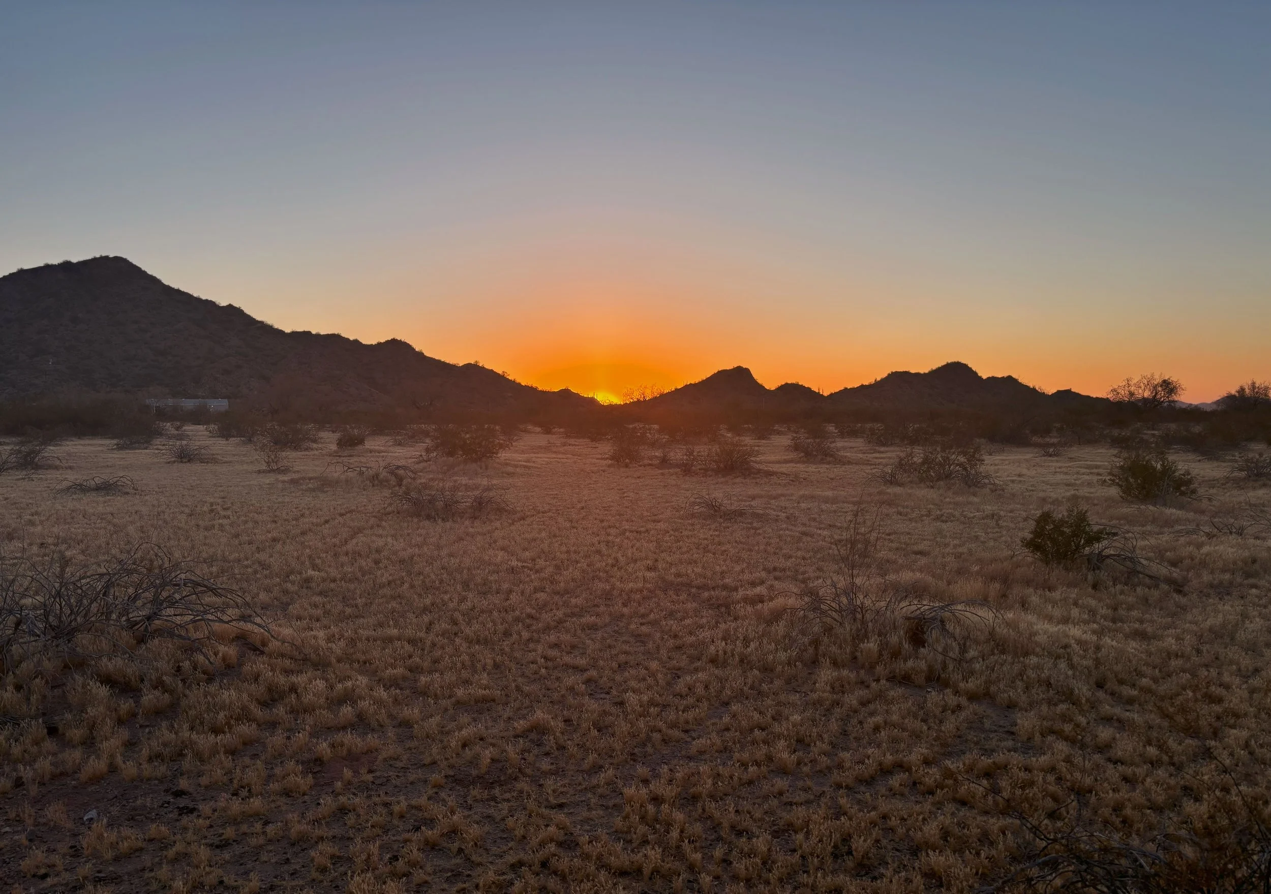 Sunset over a desert landscape with low shrubs and mountain silhouette in the background.