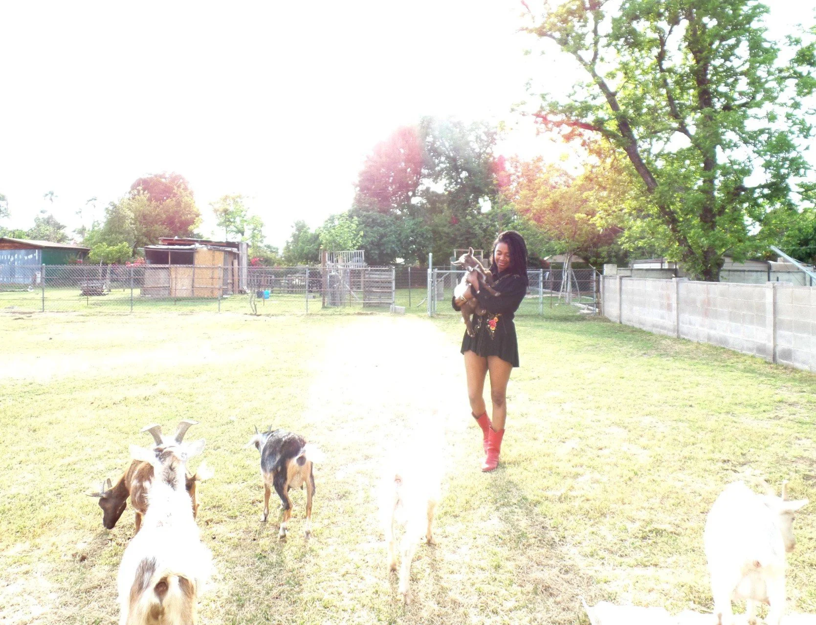 South Mountain Living, Phoenix, Arizona ◇ 2017