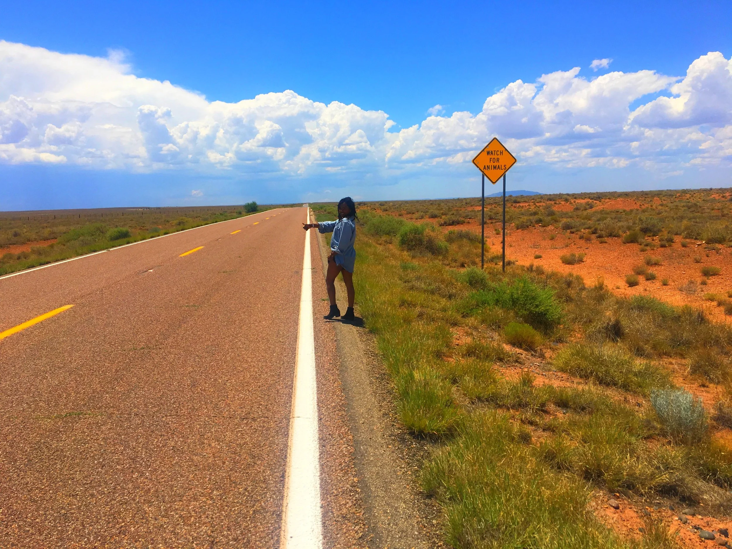 Arizona HWY 77, Arizona ◇ 2017