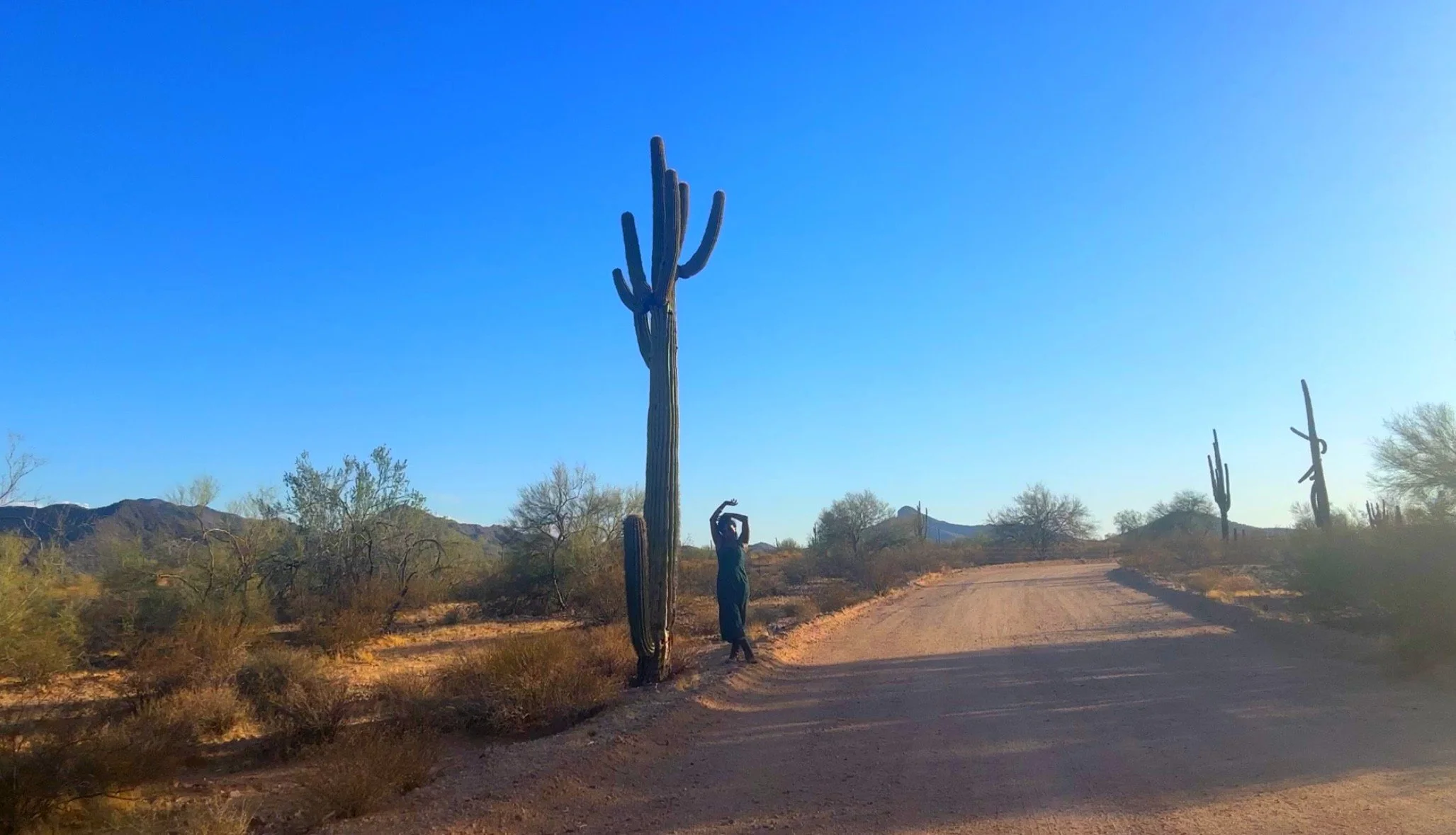 West Pinal County Park , AZ ◇ 2025