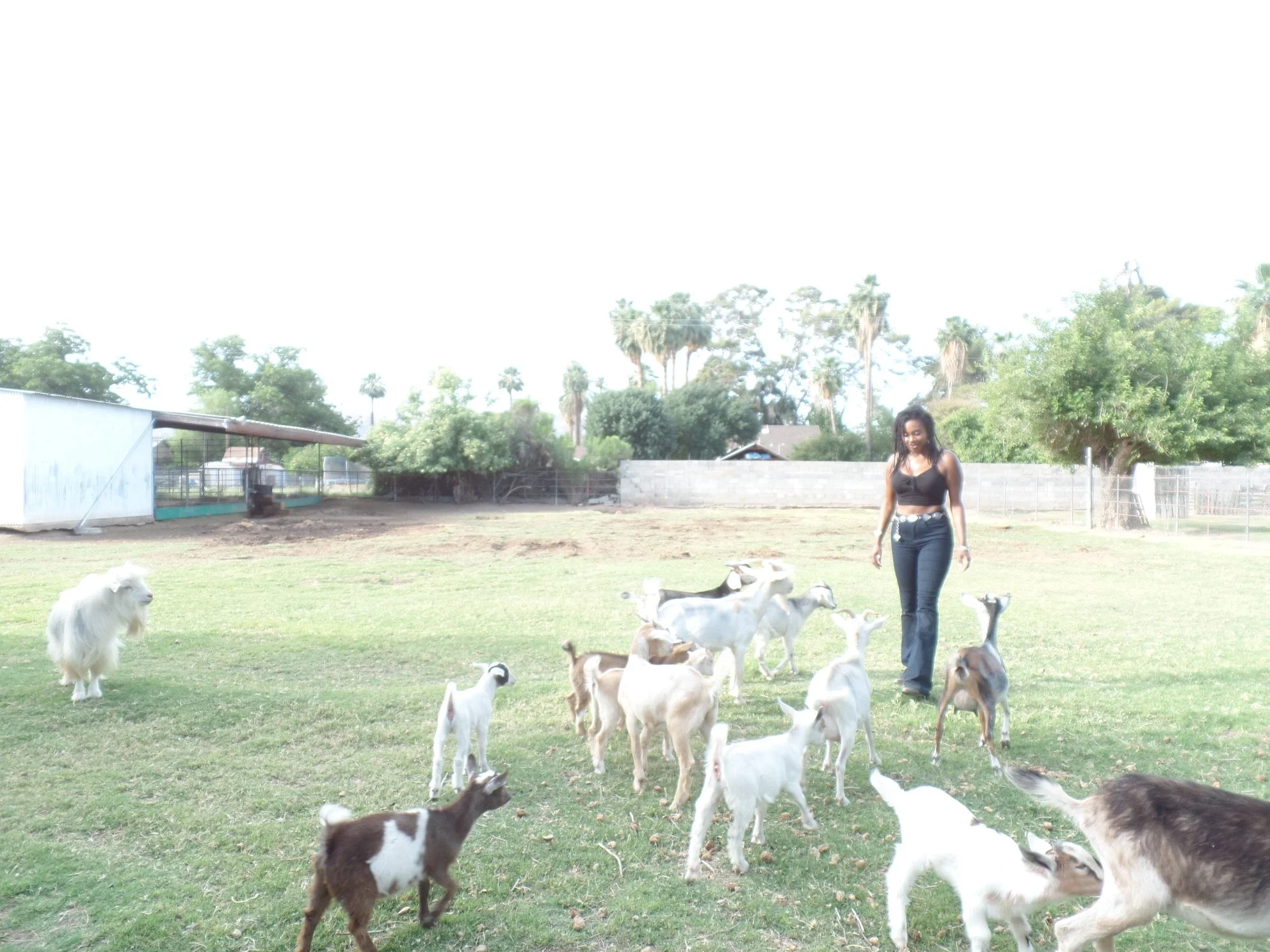 South Mountain Living, Phoenix, Arizona ◇ 2017