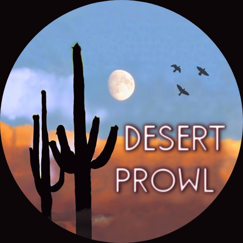 Desert Prowl logo featuring a saguaro cactus silhouette beneath a desert moon and flying birds