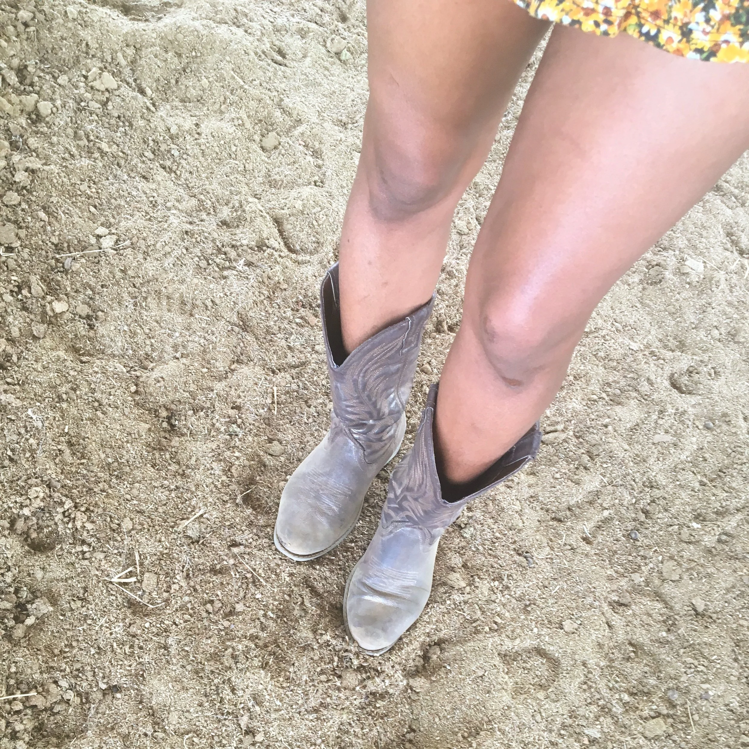 South Mountain Living, Phoenix, Arizona ◇ 2016