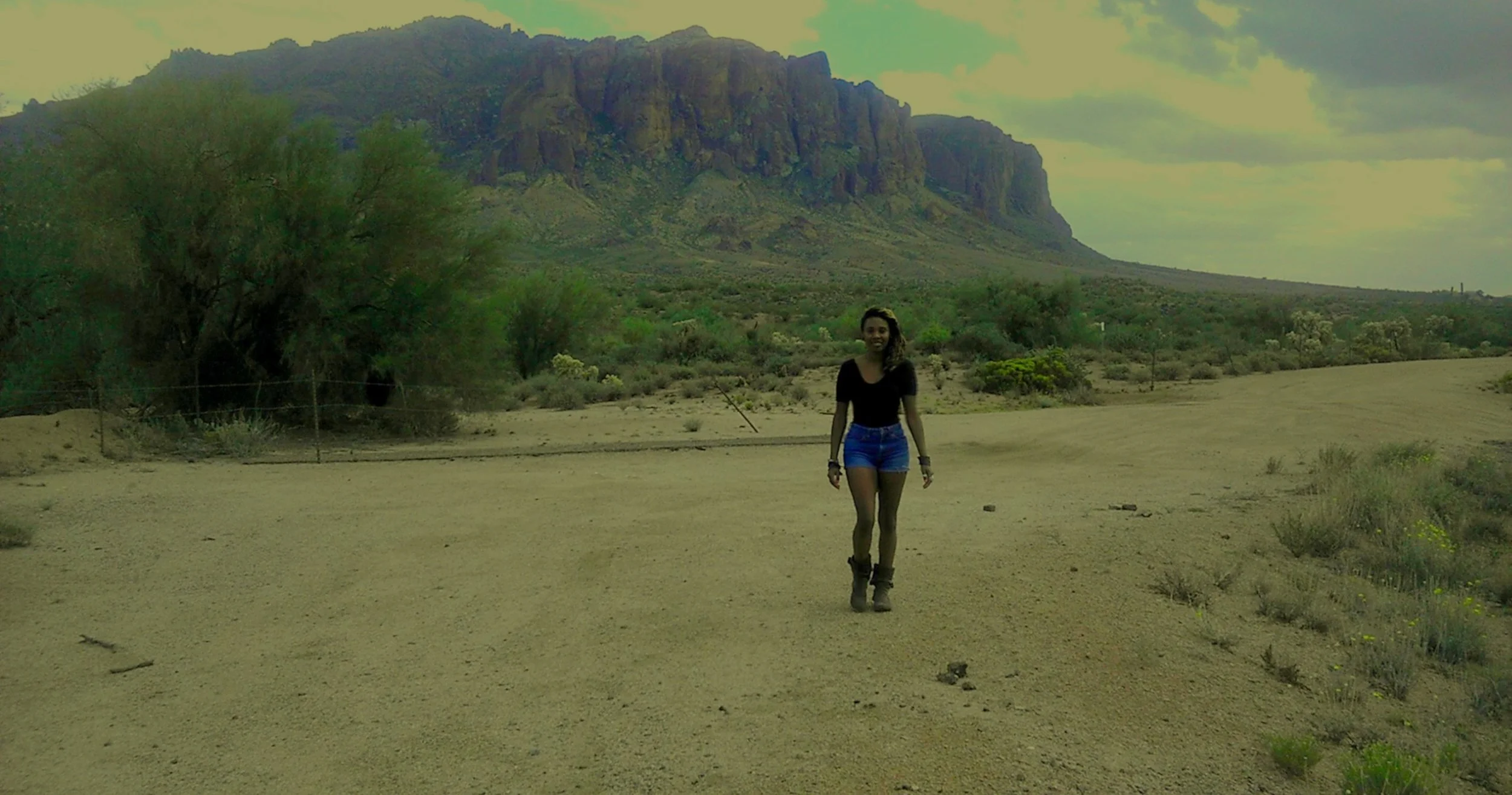 Along the road to Apache Lake, Superstition Mountains in the background, Arizona ◇ 2012