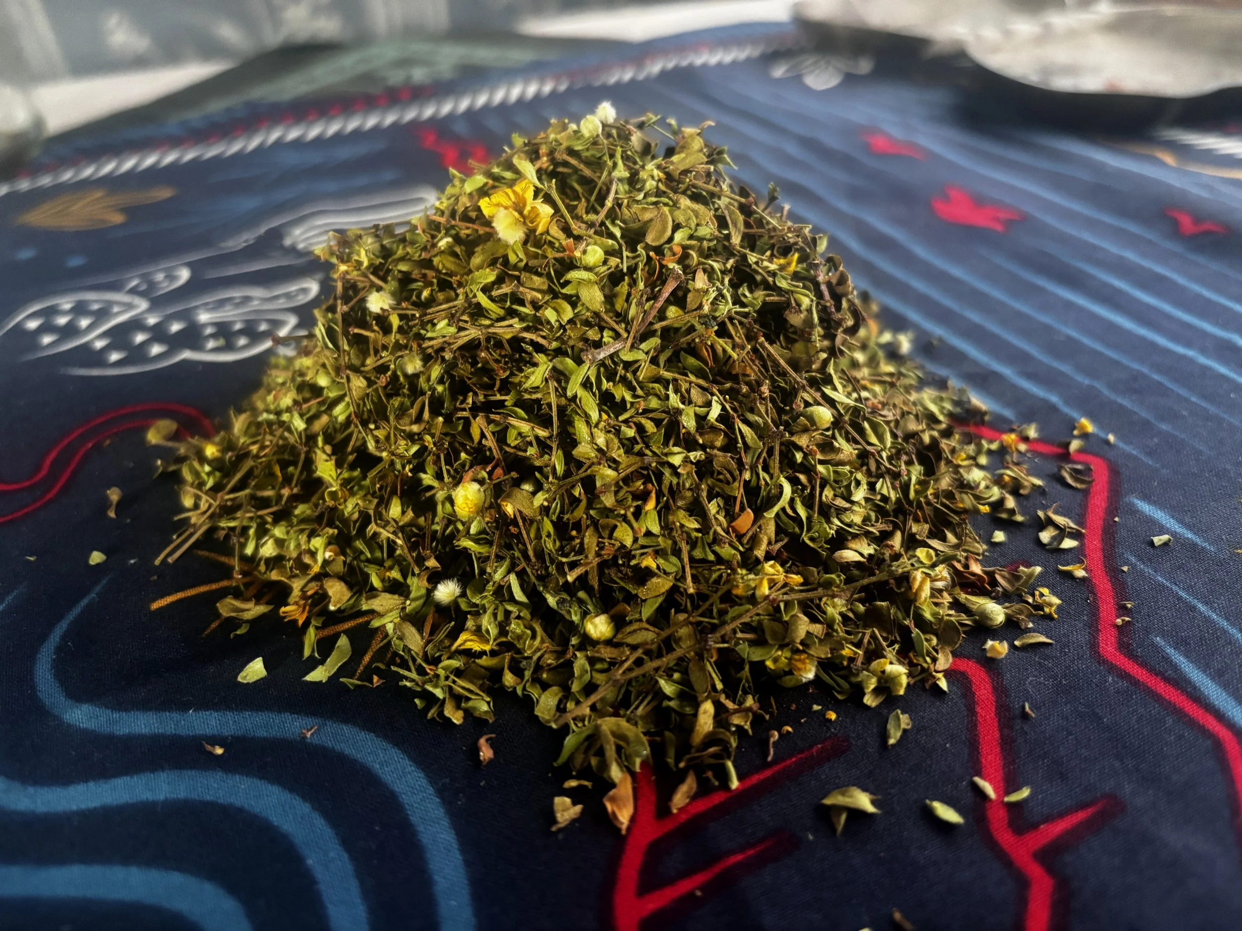Creosote-Bush-Dried-Leaves-Stems.JPG